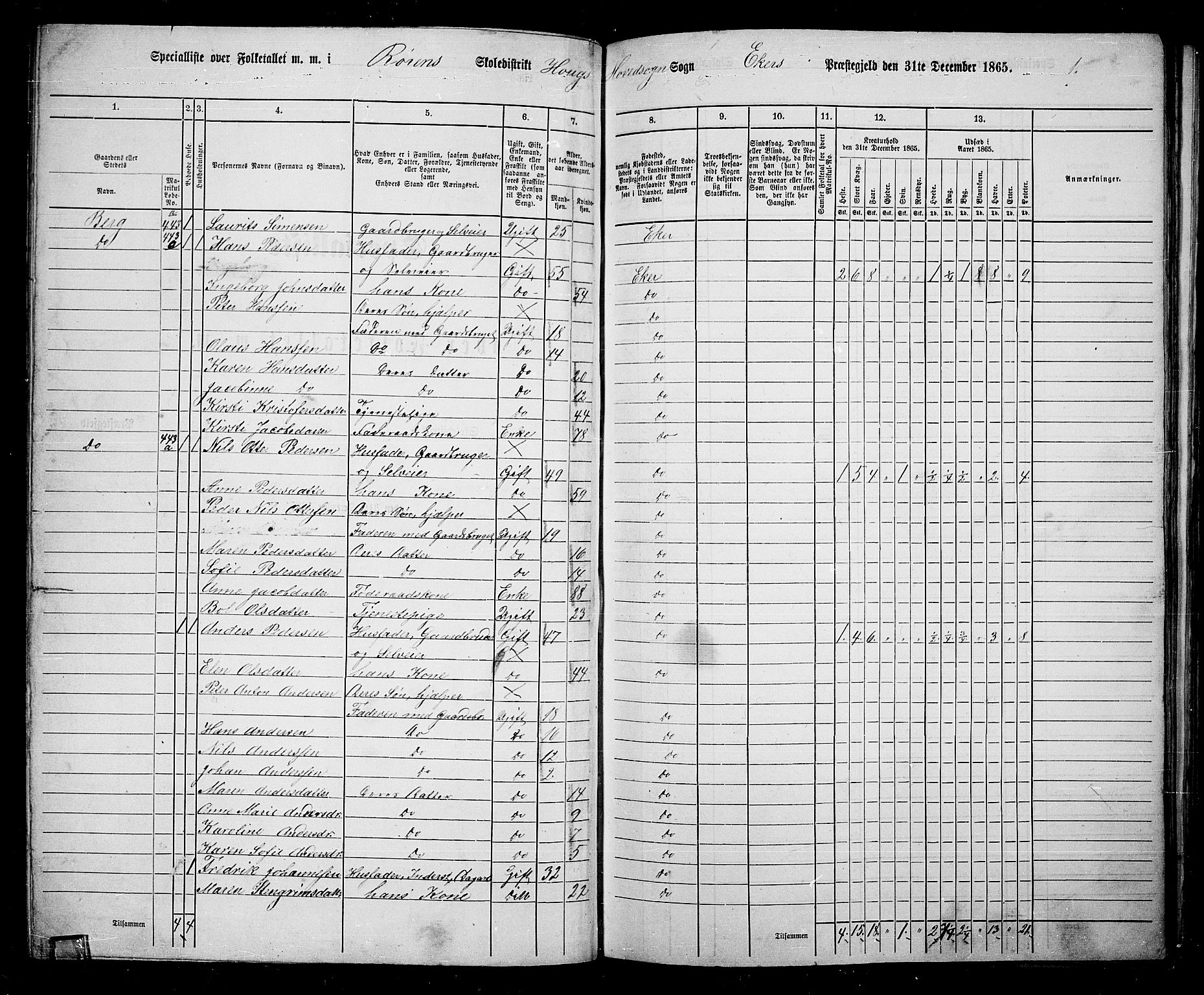 RA, 1865 census for Eiker, 1865, p. 105