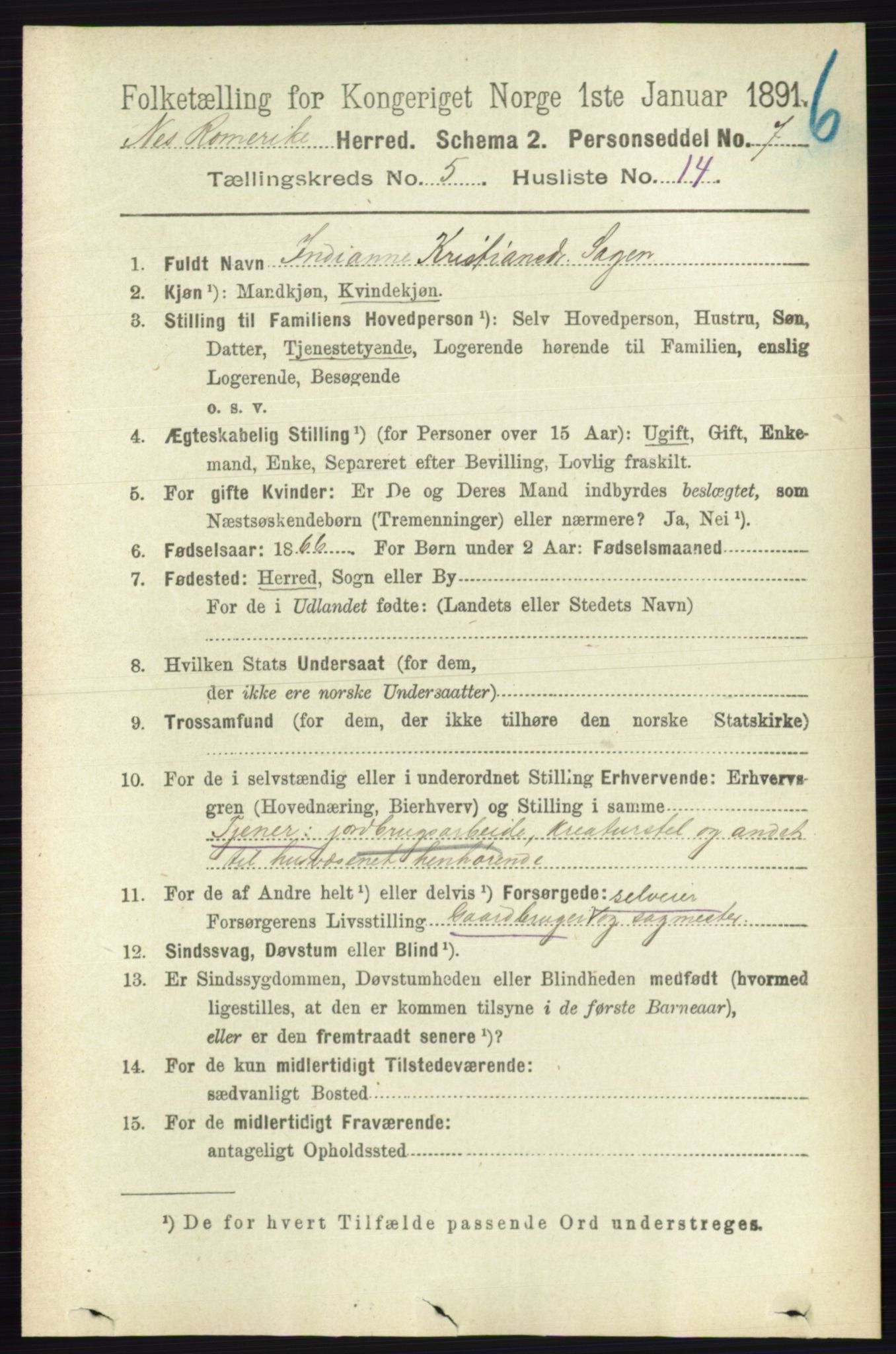 RA, 1891 census for 0236 Nes, 1891, p. 2869
