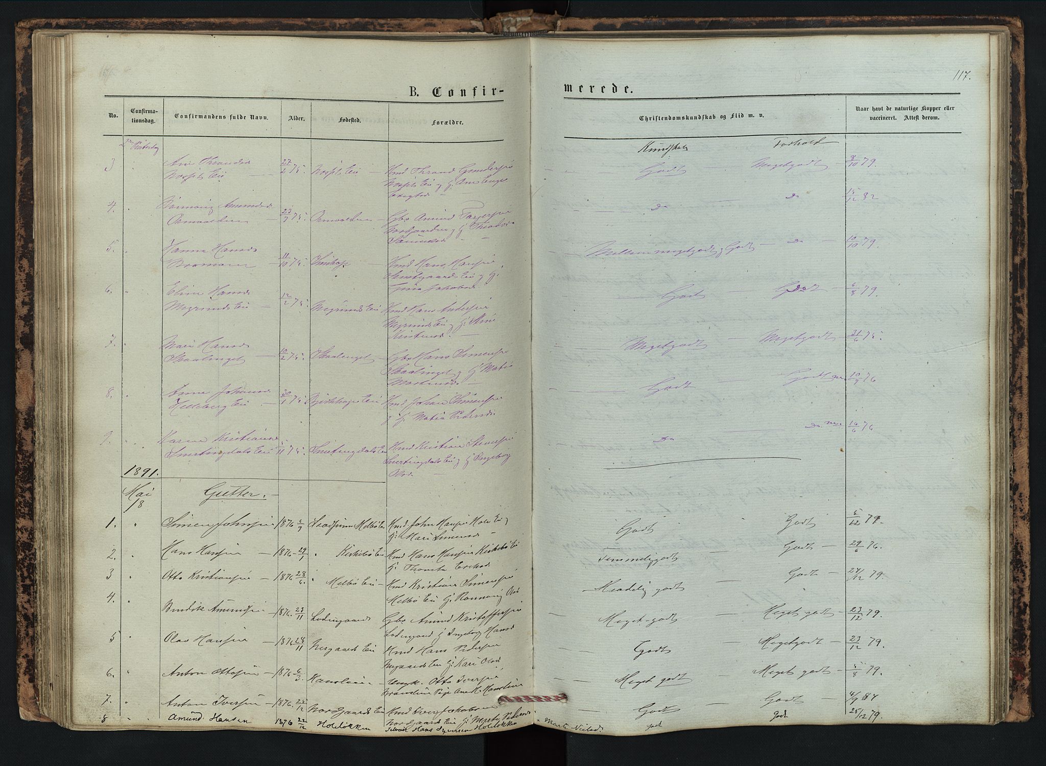 Vestre Gausdal prestekontor, AV/SAH-PREST-094/H/Ha/Hab/L0002: Parish register (copy) no. 2, 1874-1897, p. 117