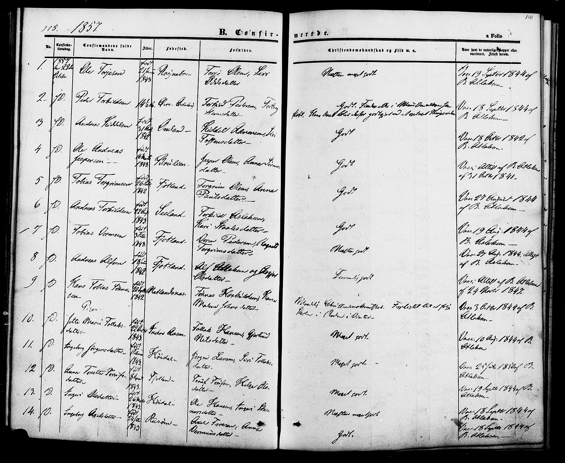 Fjotland sokneprestkontor, AV/SAK-1111-0010/F/Fa/L0001: Parish register (official) no. A 1, 1850-1879, p. 110