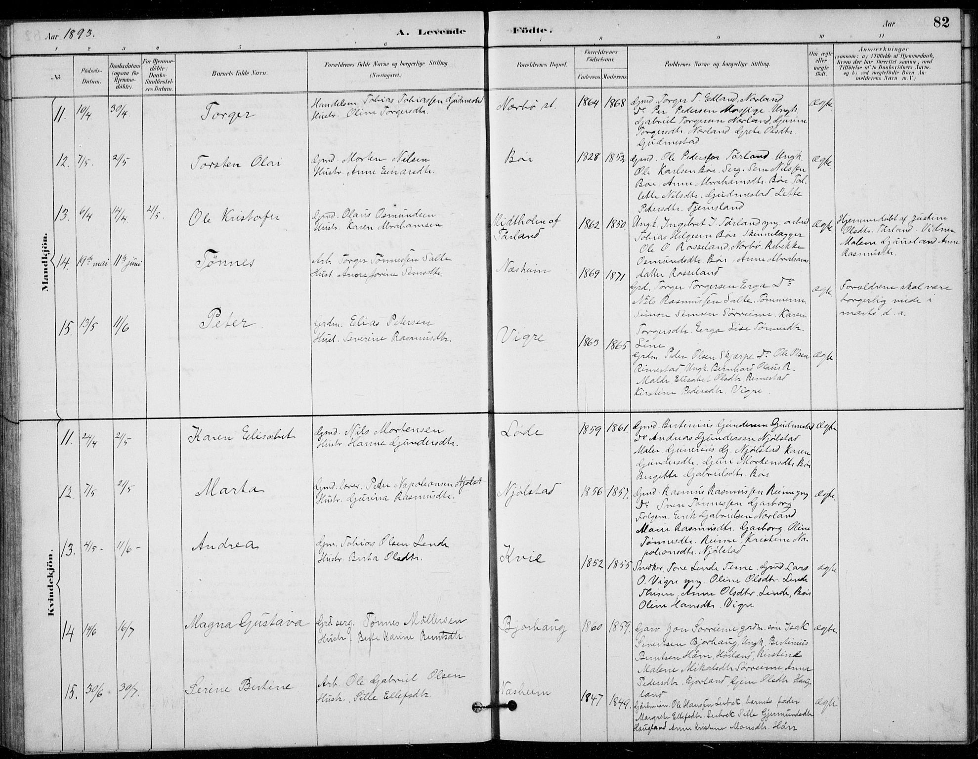 Hå sokneprestkontor, AV/SAST-A-101801/001/30BB/L0003: Parish register (copy) no. B 3, 1883-1894, p. 82