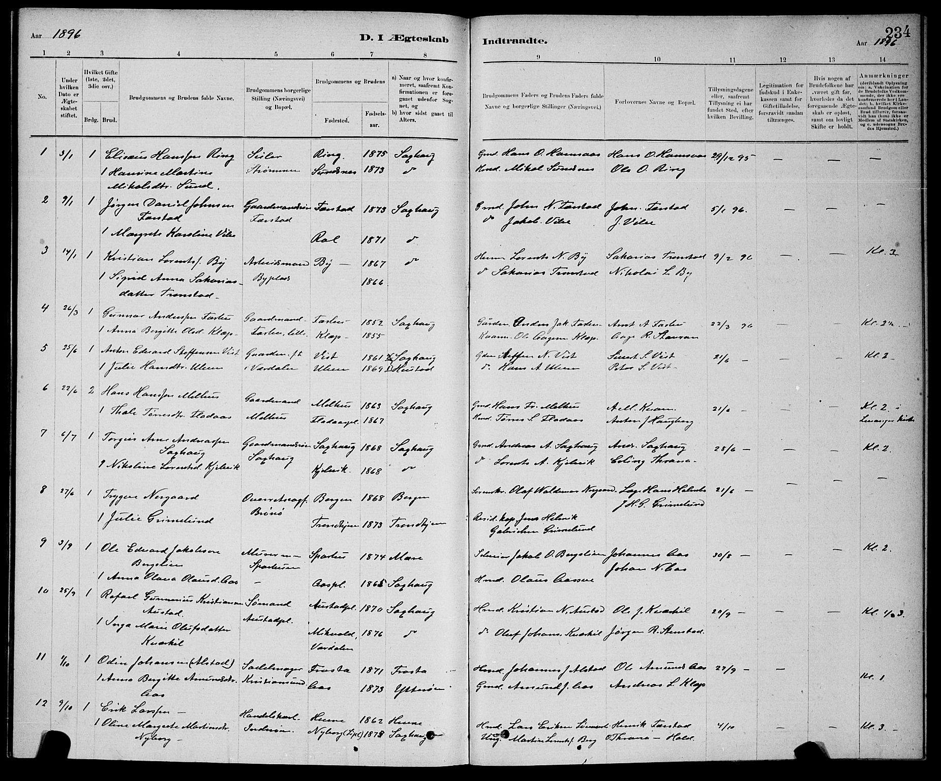 Ministerialprotokoller, klokkerbøker og fødselsregistre - Nord-Trøndelag, SAT/A-1458/730/L0301: Parish register (copy) no. 730C04, 1880-1897, p. 234