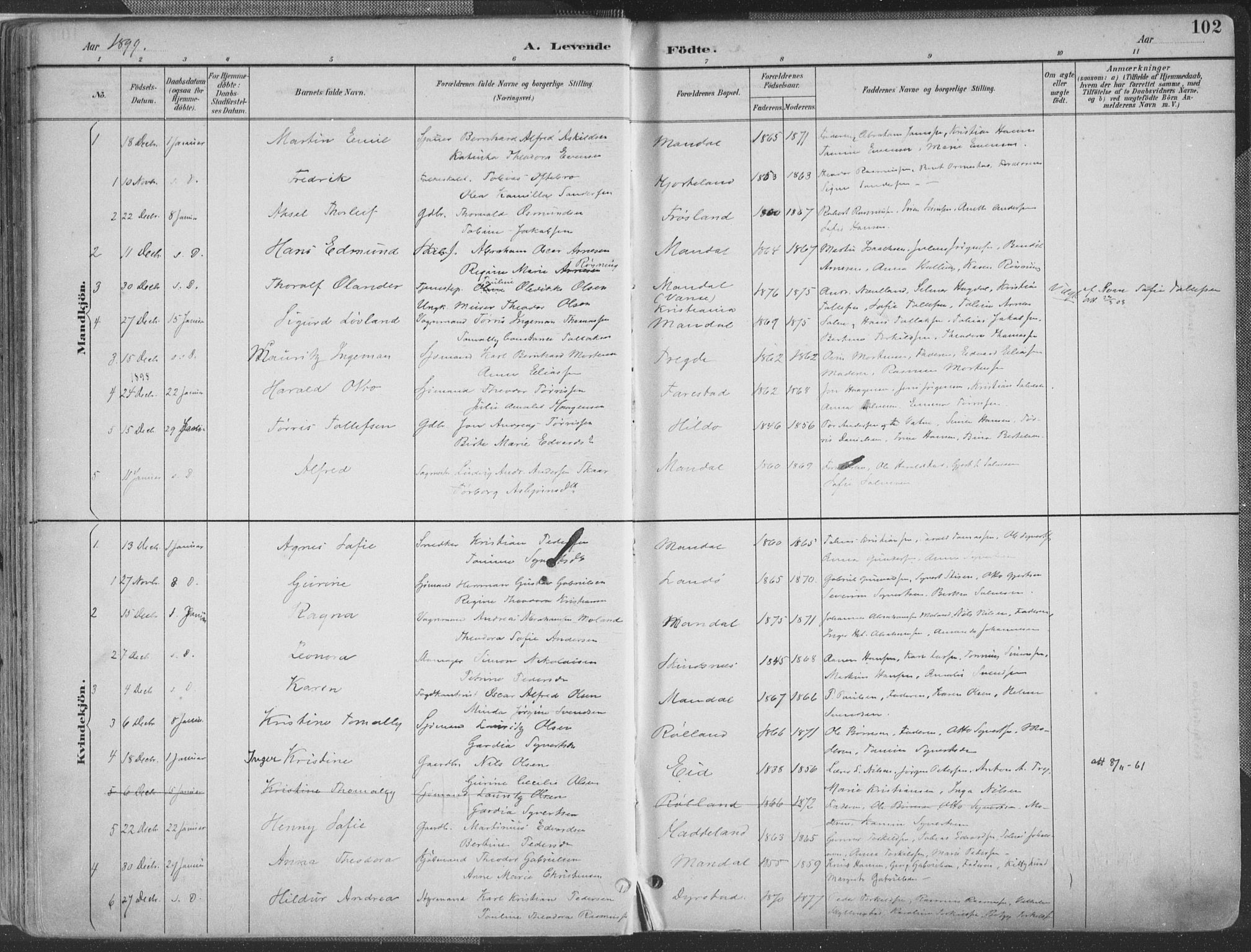 Mandal sokneprestkontor, AV/SAK-1111-0030/F/Fa/Faa/L0018: Parish register (official) no. A 18, 1890-1905, p. 102