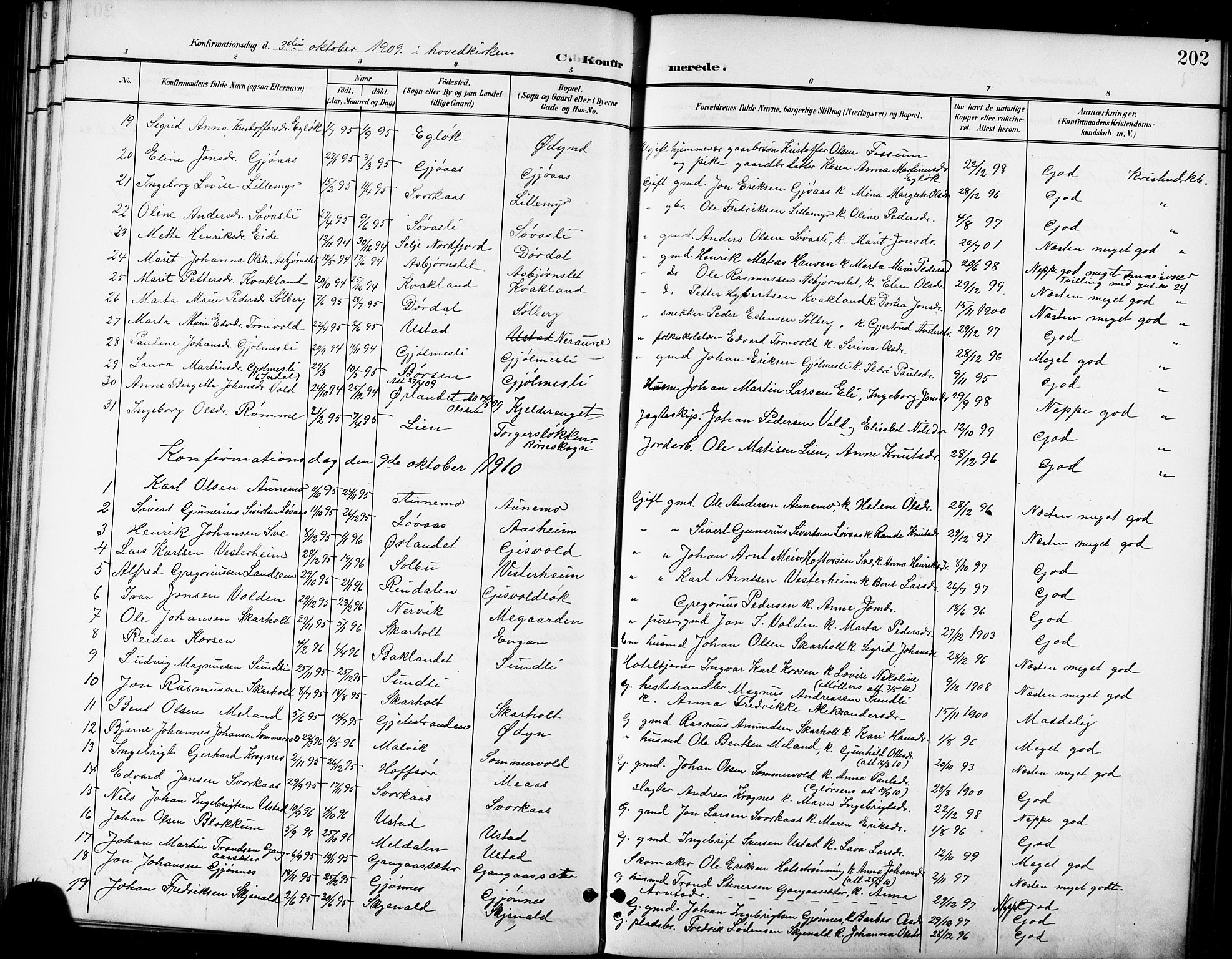 Ministerialprotokoller, klokkerbøker og fødselsregistre - Sør-Trøndelag, SAT/A-1456/668/L0819: Parish register (copy) no. 668C08, 1899-1912, p. 202
