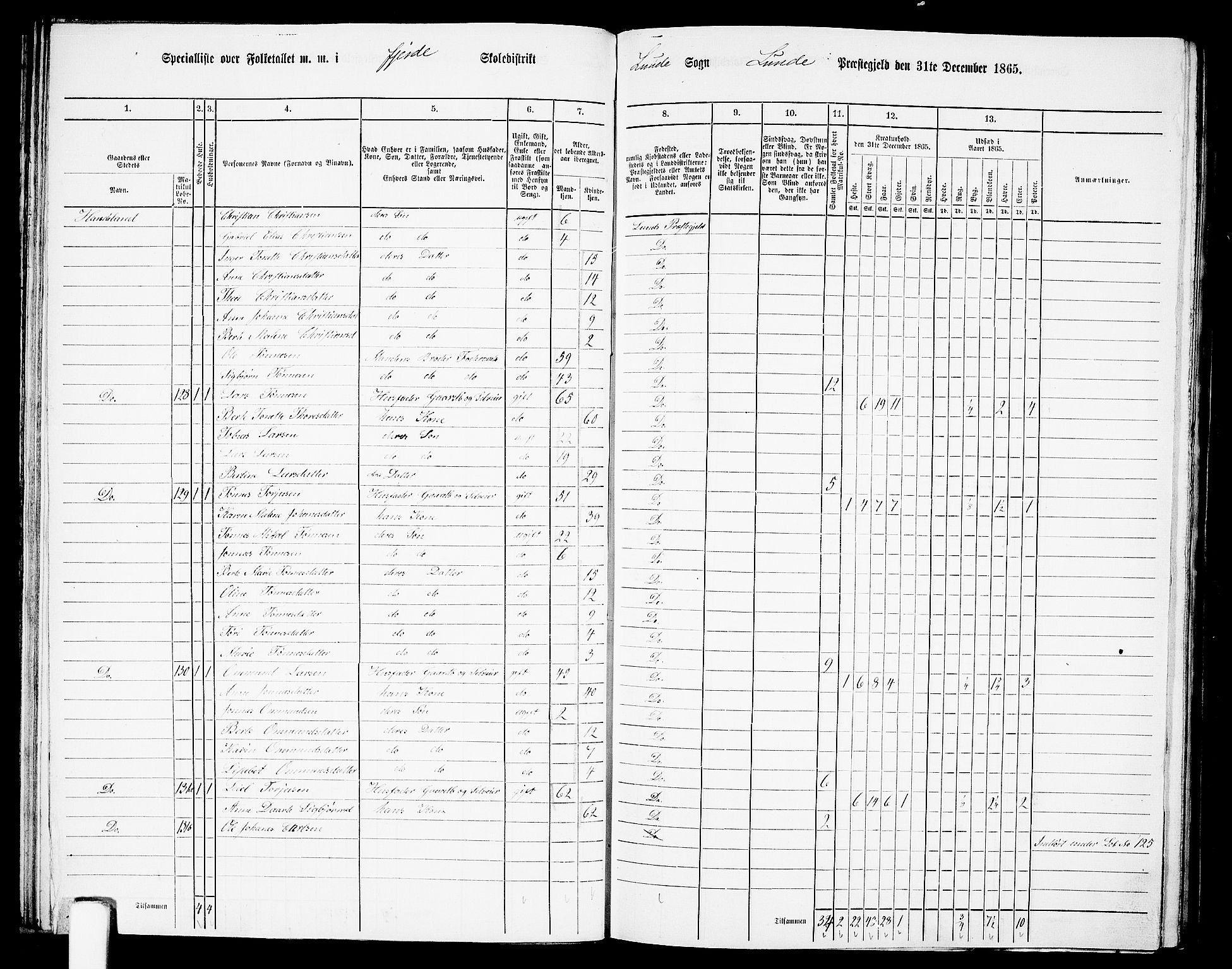 RA, 1865 census for Lund, 1865, p. 50