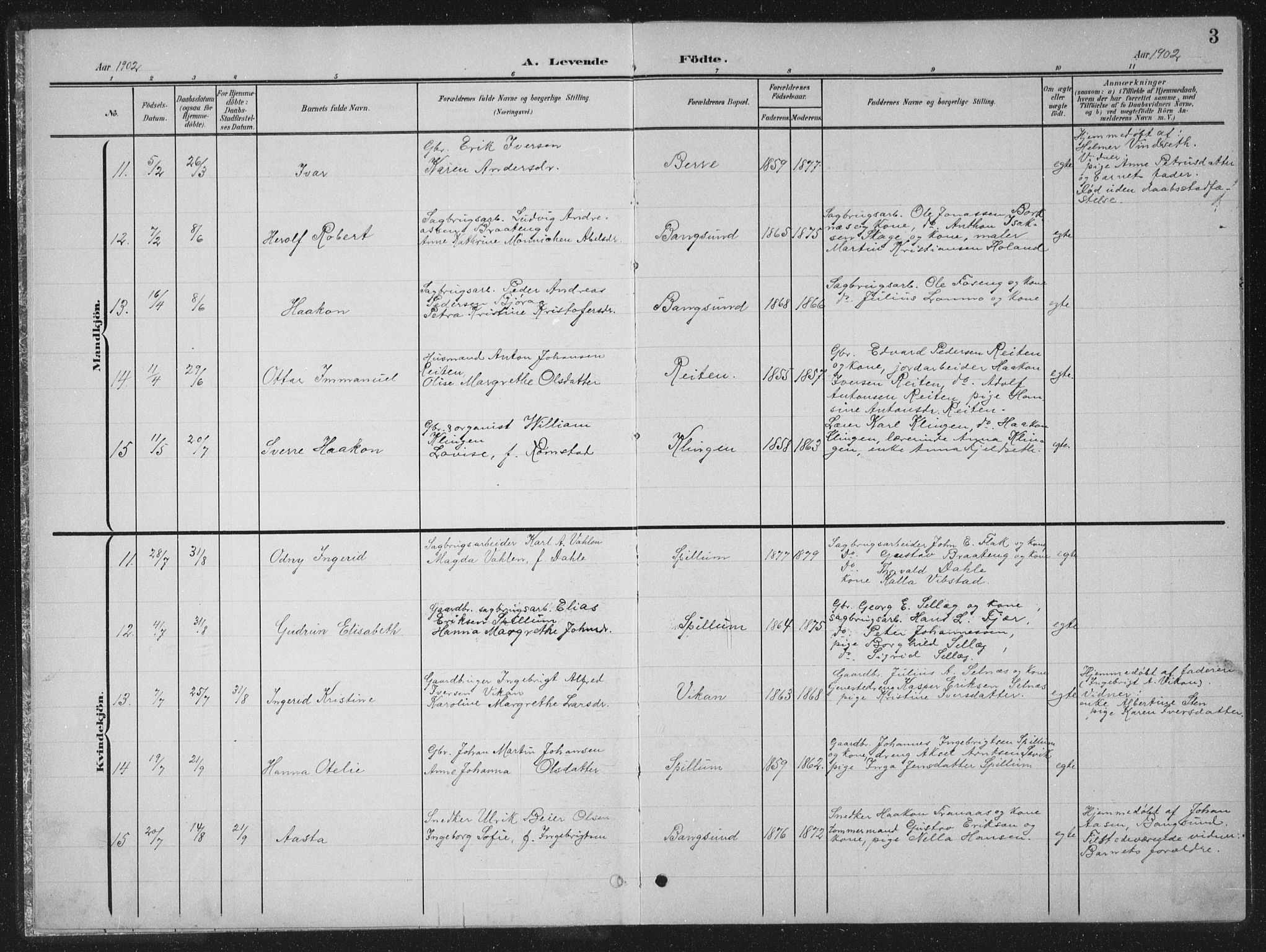 Ministerialprotokoller, klokkerbøker og fødselsregistre - Nord-Trøndelag, AV/SAT-A-1458/770/L0591: Parish register (copy) no. 770C02, 1902-1940, p. 3