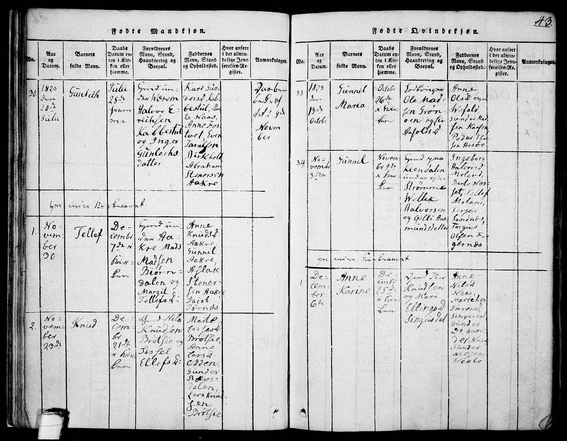 Drangedal kirkebøker, SAKO/A-258/F/Fa/L0005: Parish register (official) no. 5 /1, 1814-1831, p. 43
