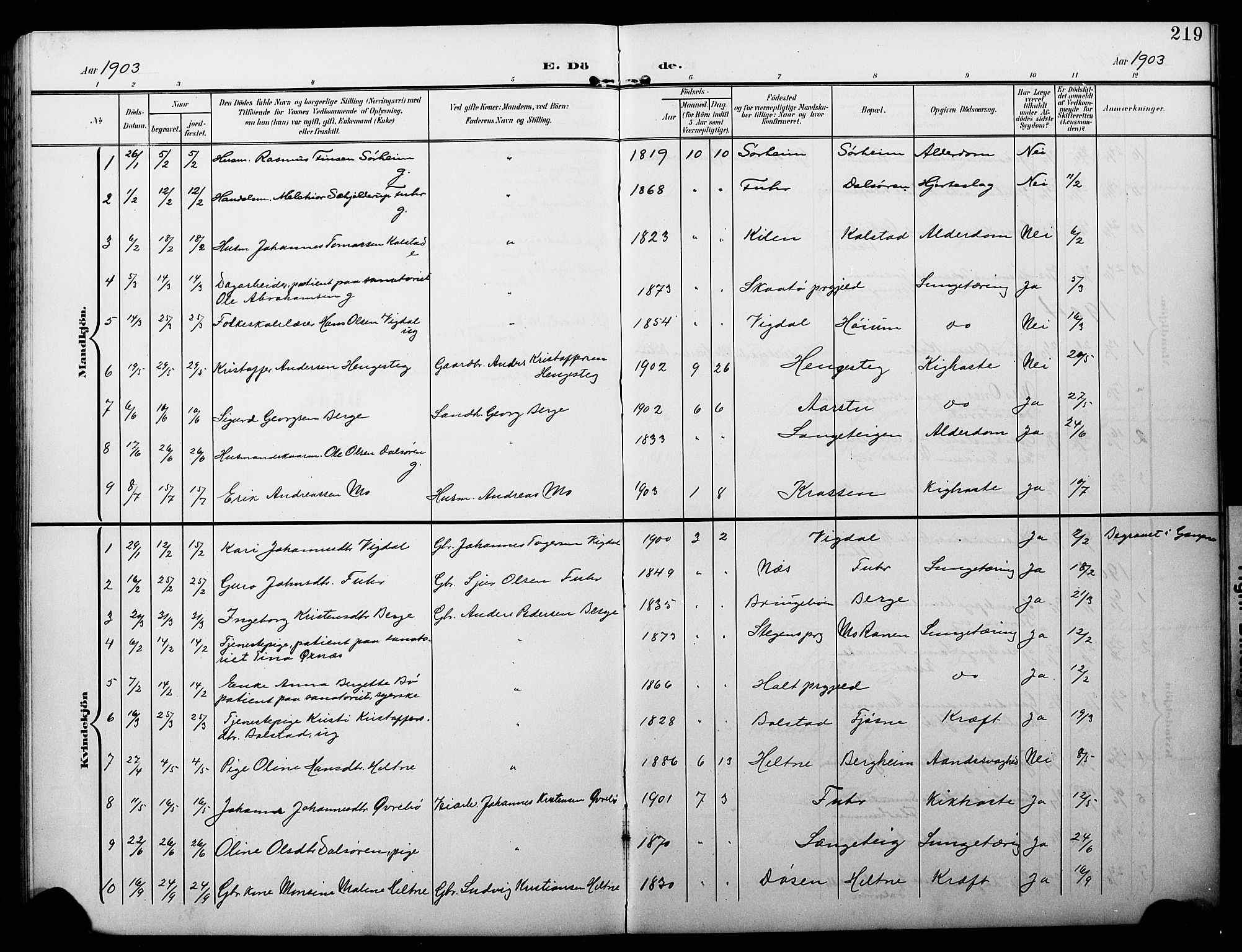 Luster sokneprestembete, AV/SAB-A-81101/H/Hab/Haba/L0001: Parish register (copy) no. A 1, 1903-1930, p. 219