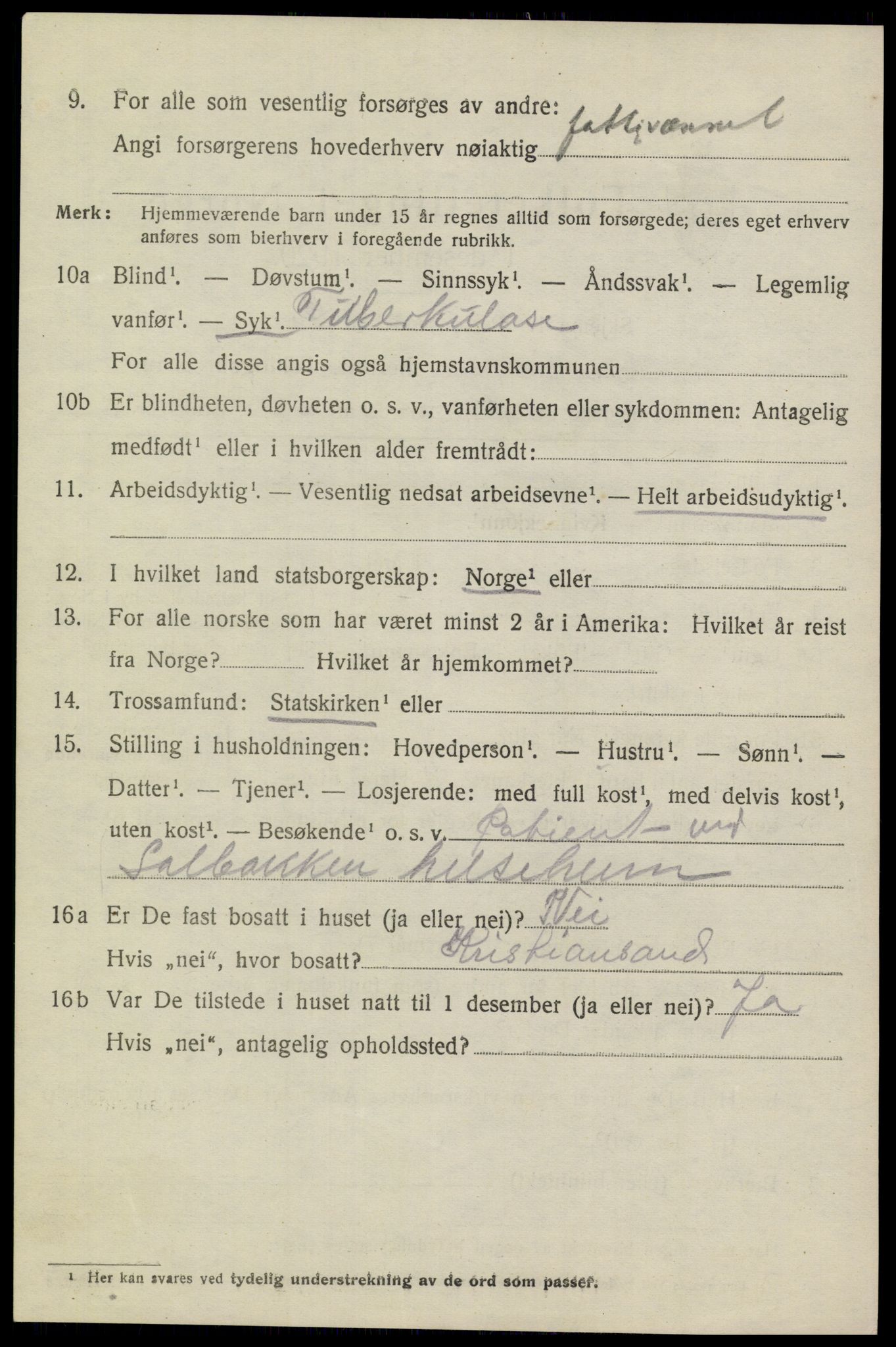 SAKO, 1920 census for Heddal, 1920, p. 2383