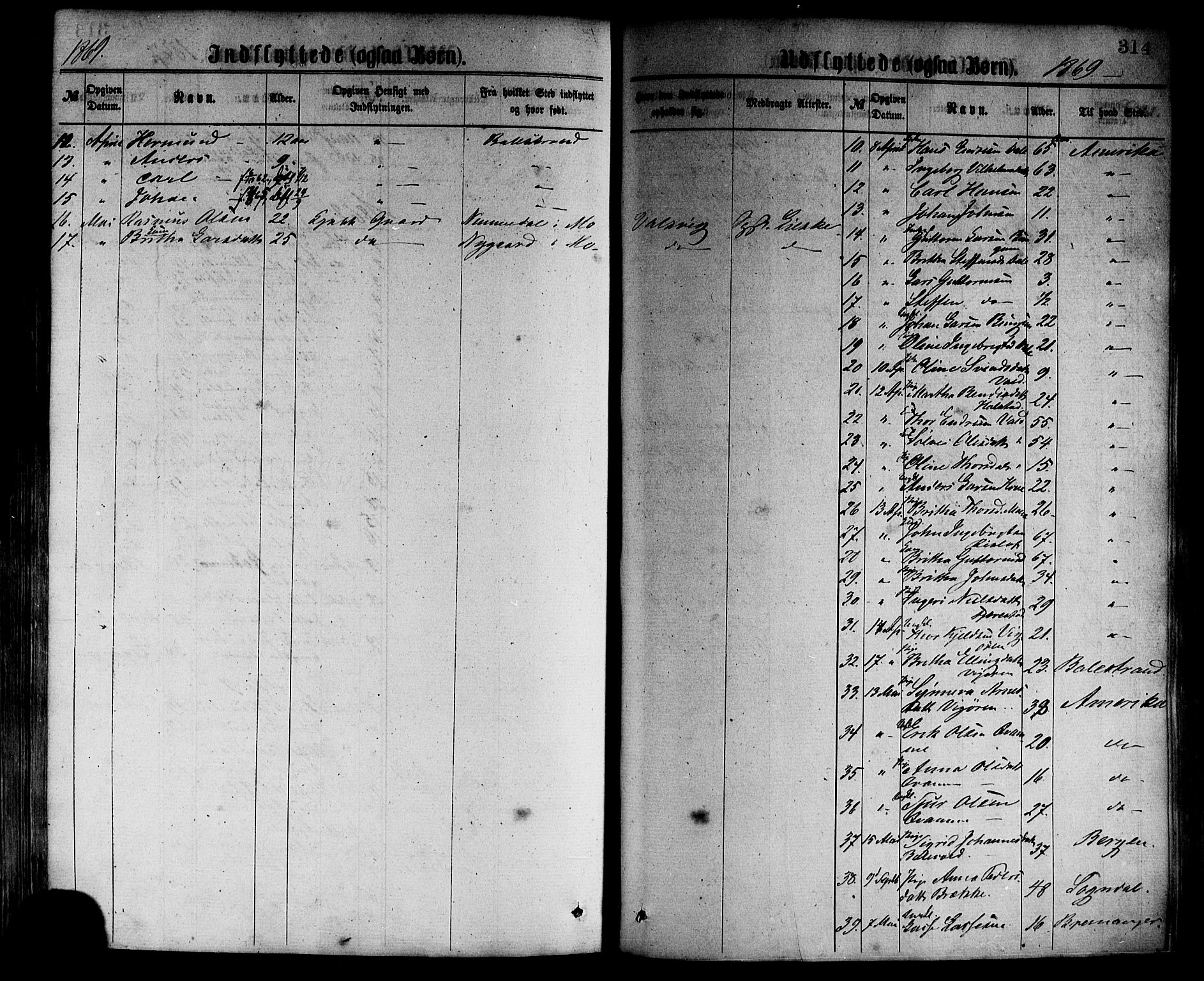 Vik sokneprestembete, AV/SAB-A-81501/H/Haa/Haaa/L0009: Parish register (official) no. A 9, 1866-1877, p. 314