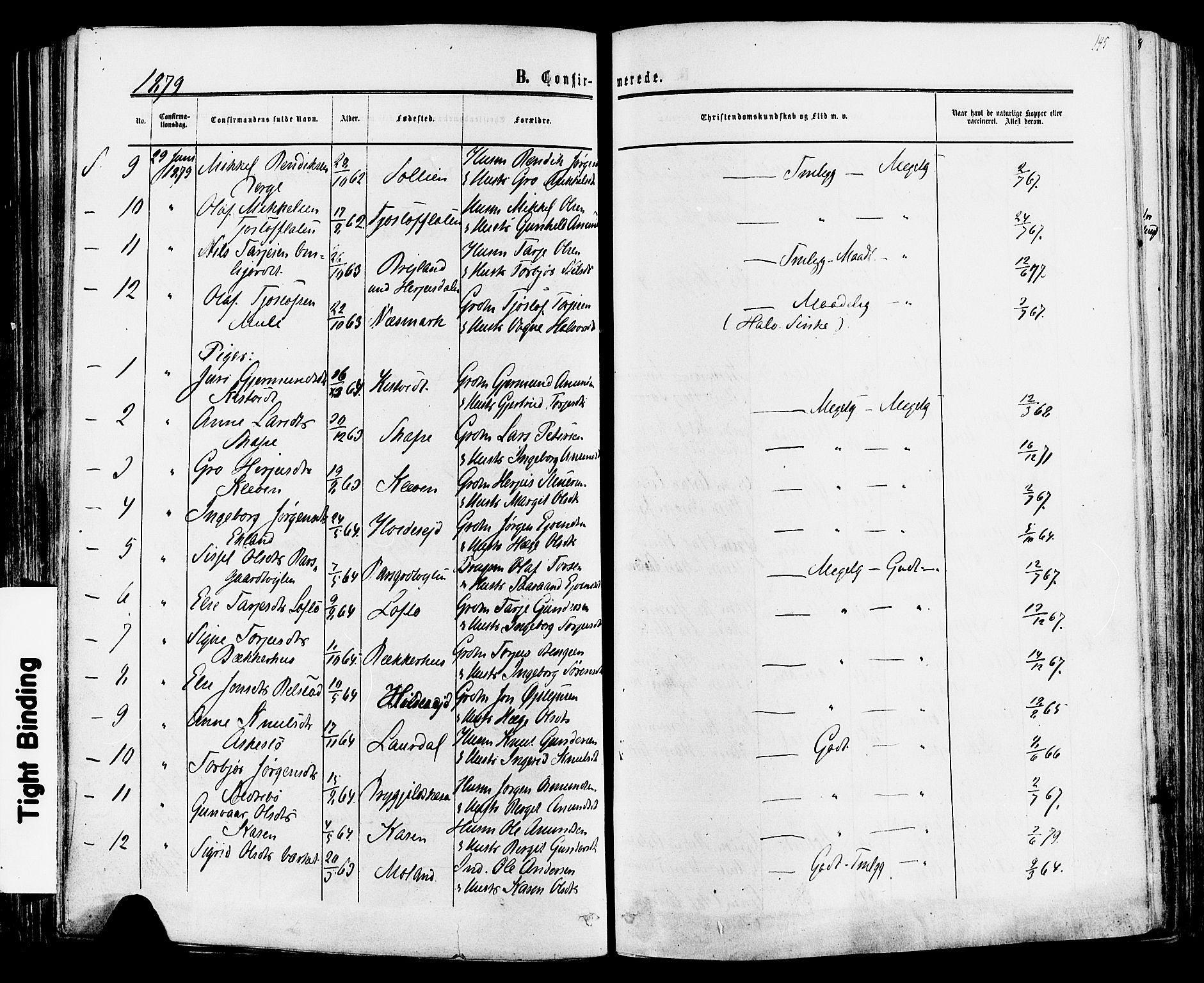 Mo kirkebøker, SAKO/A-286/F/Fa/L0006: Parish register (official) no. I 6, 1865-1885, p. 145