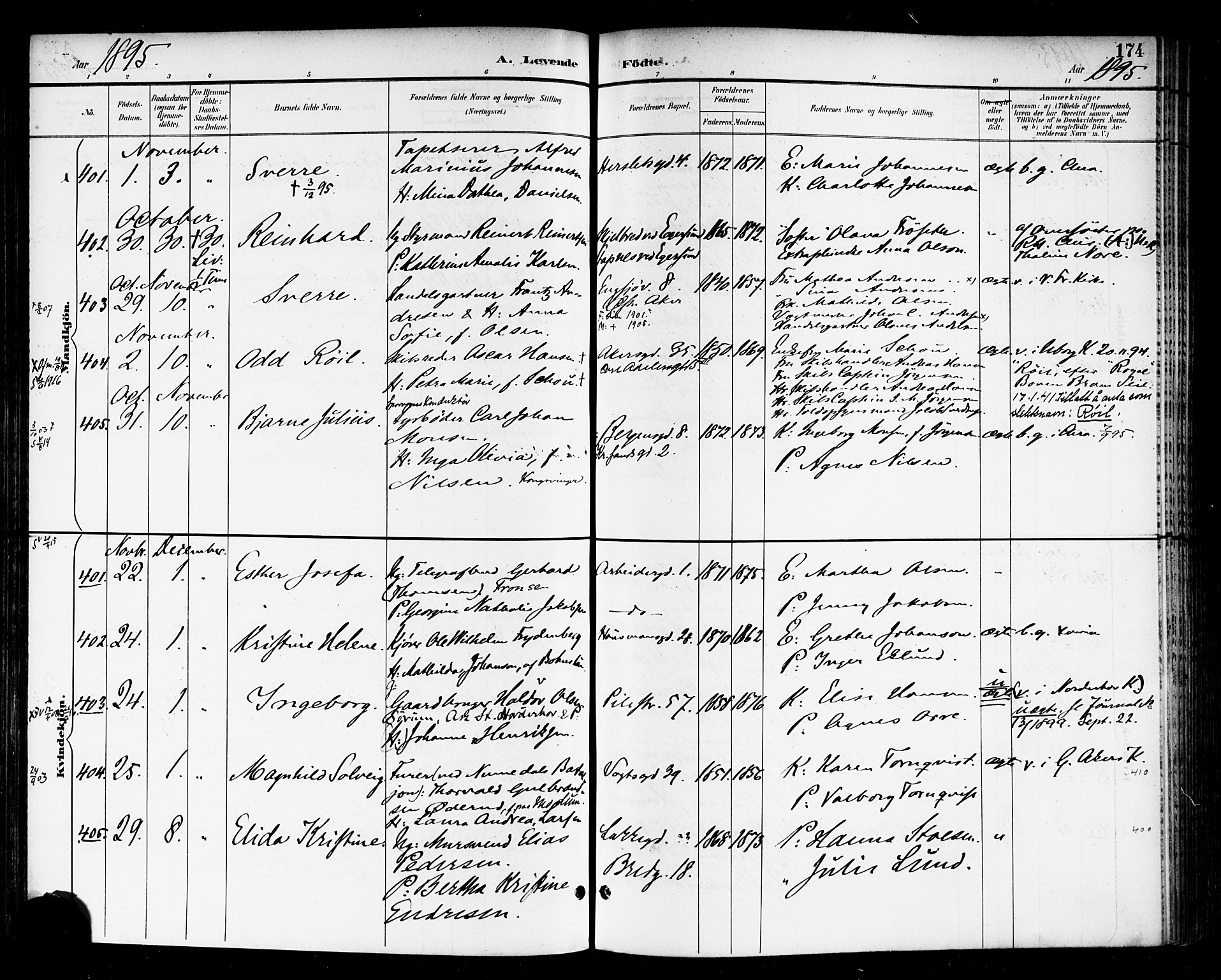 Rikshospitalet prestekontor Kirkebøker, SAO/A-10309b/F/L0009: Parish register (official) no. 9, 1894-1897, p. 174