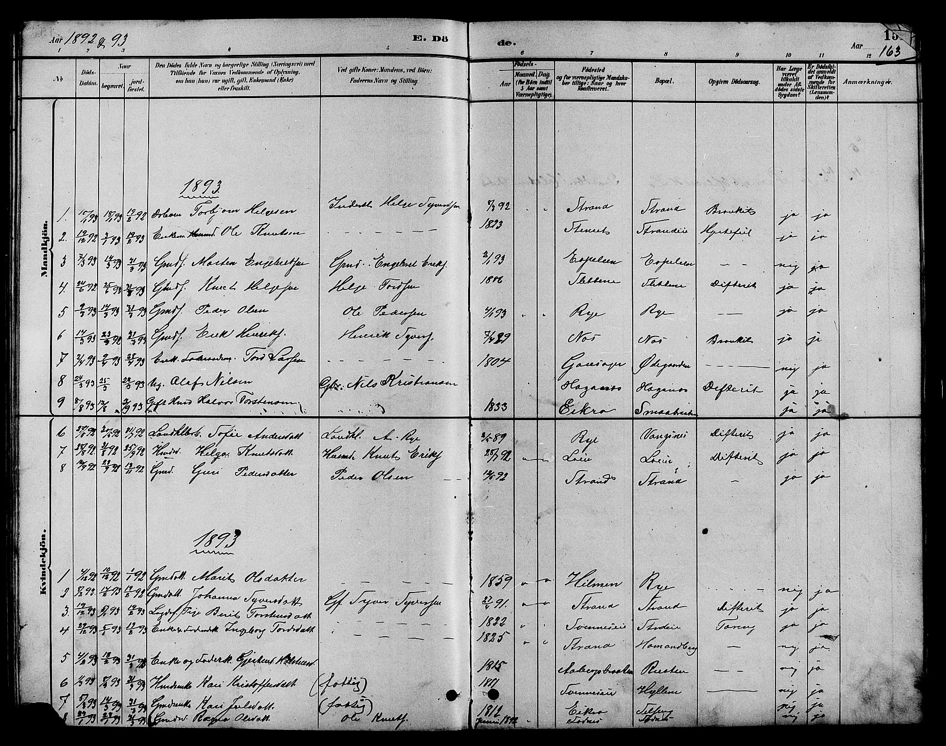 Nord-Aurdal prestekontor, AV/SAH-PREST-132/H/Ha/Hab/L0007: Parish register (copy) no. 7, 1883-1910, p. 163