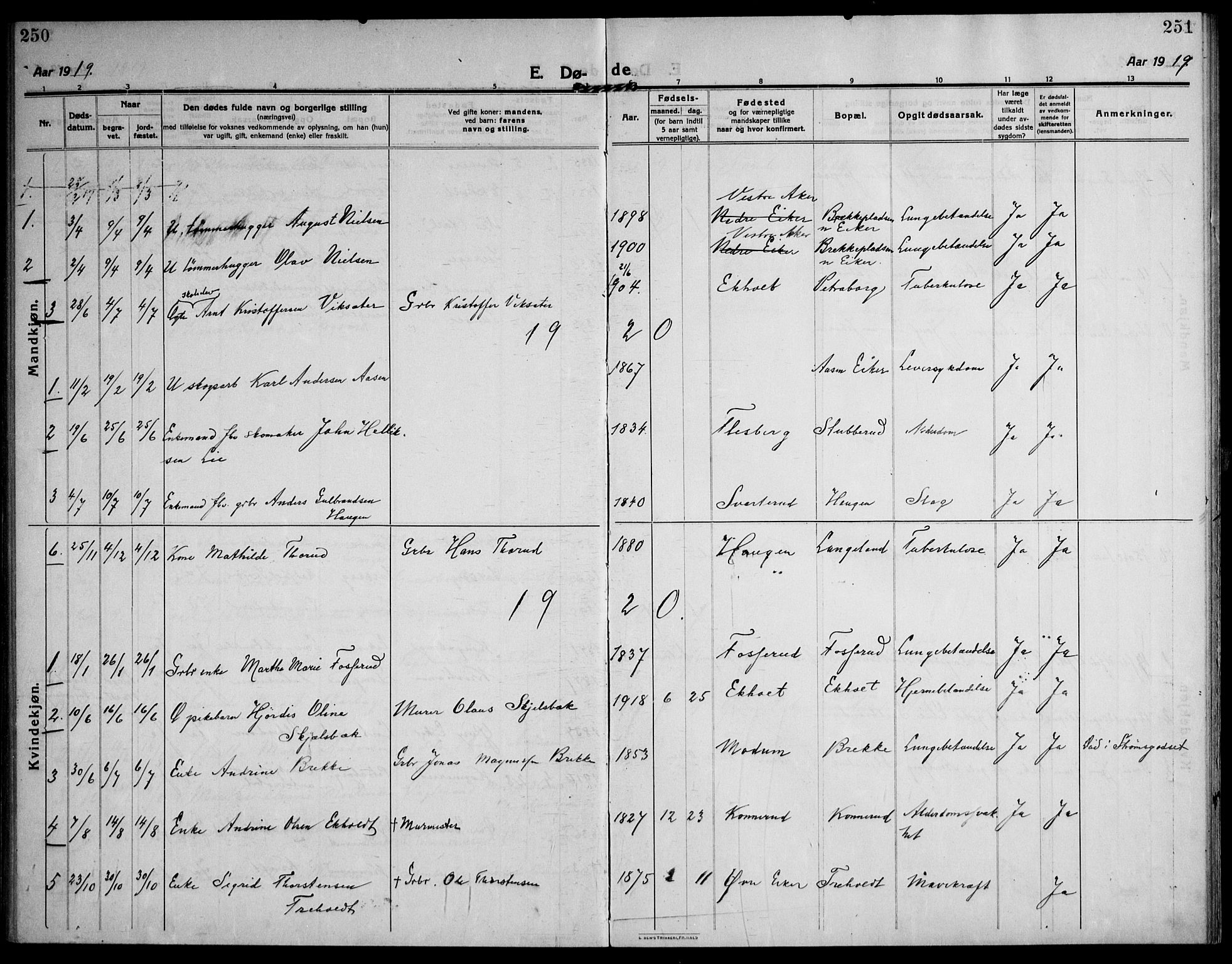 Skoger kirkebøker, AV/SAKO-A-59/F/Fb/L0002: Parish register (official) no. II 2, 1914-1941, p. 250-251