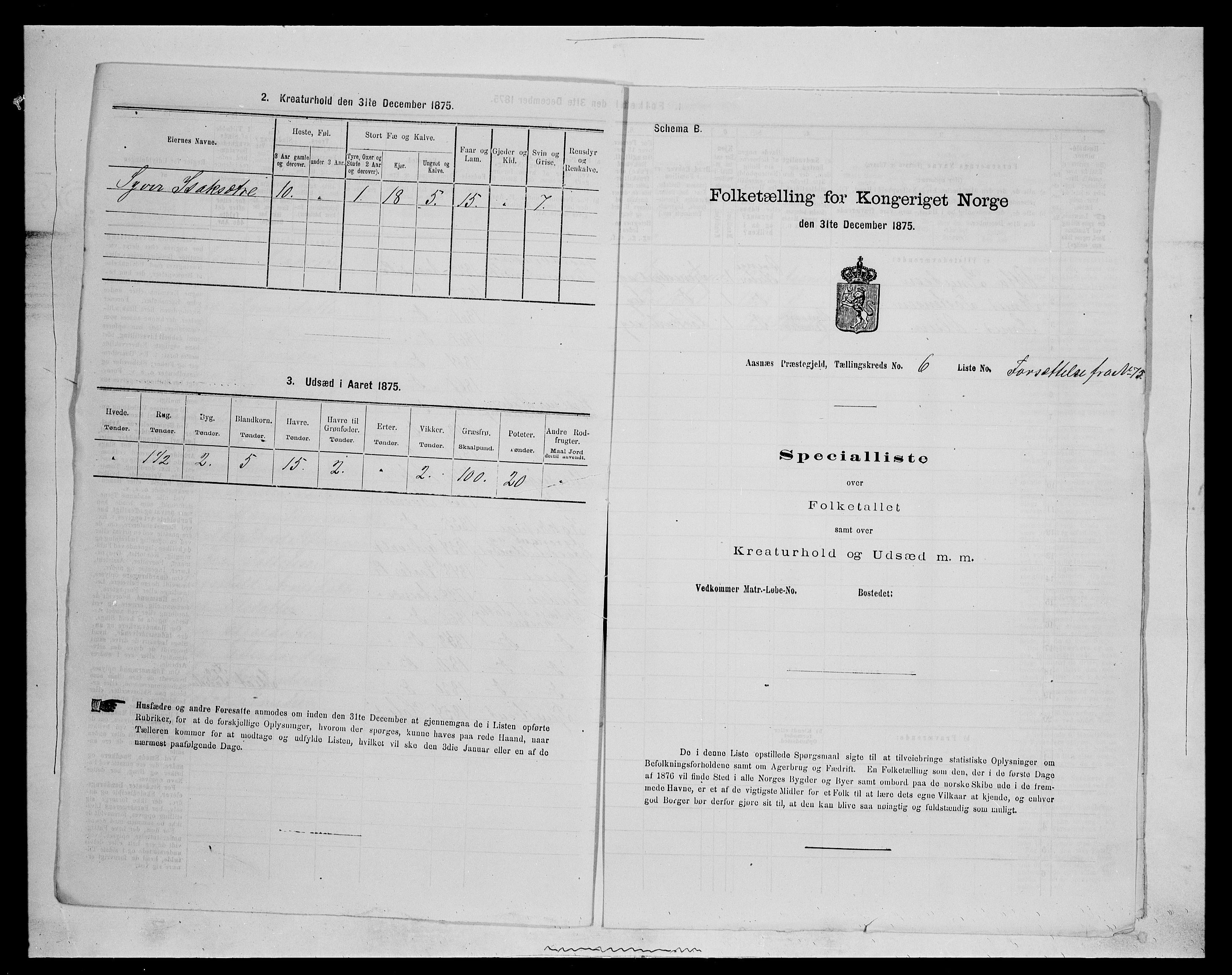 SAH, 1875 census for 0425P Åsnes, 1875, p. 967