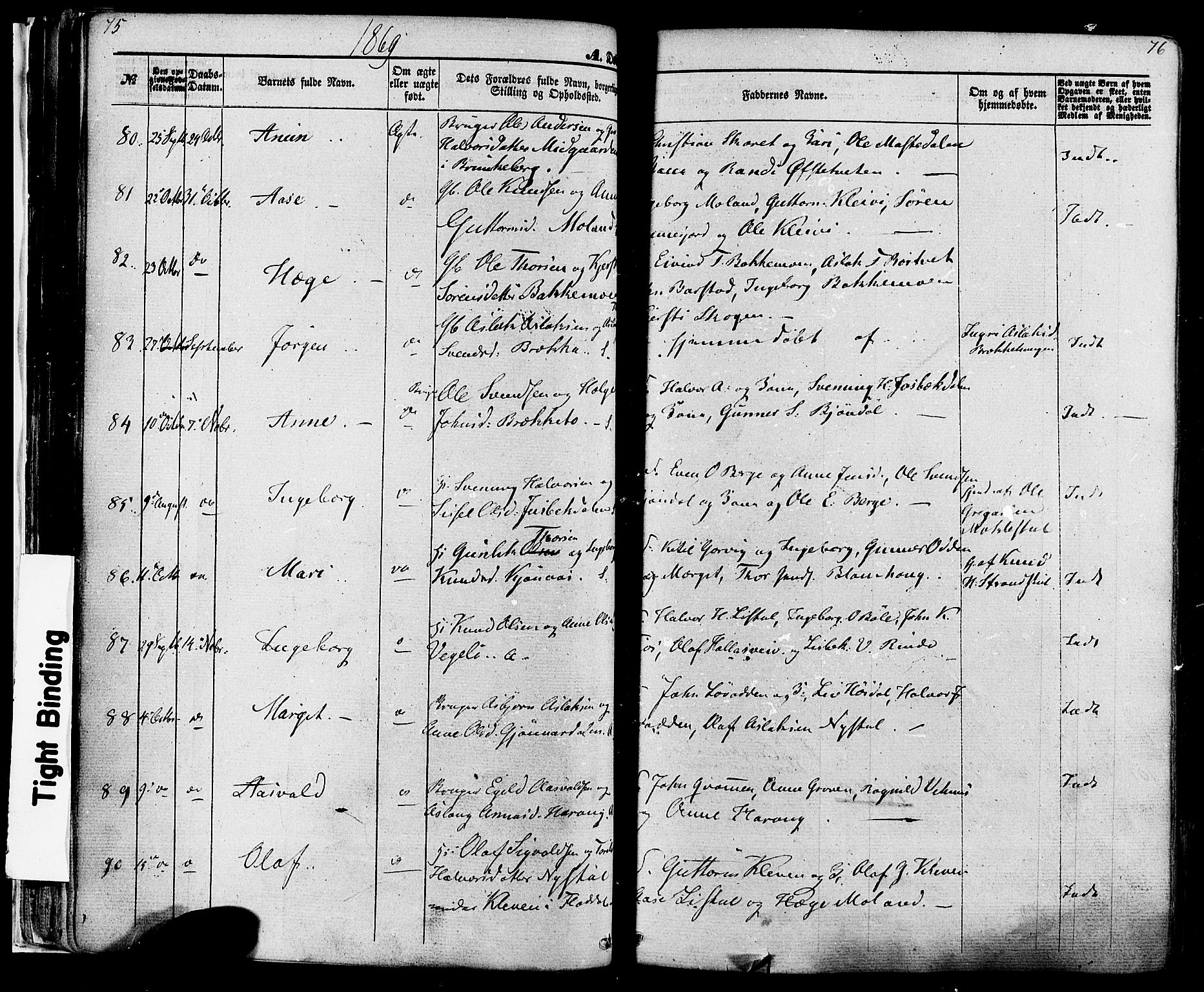 Seljord kirkebøker, SAKO/A-20/F/Fa/L0013: Parish register (official) no. I 13, 1866-1876, p. 75-76