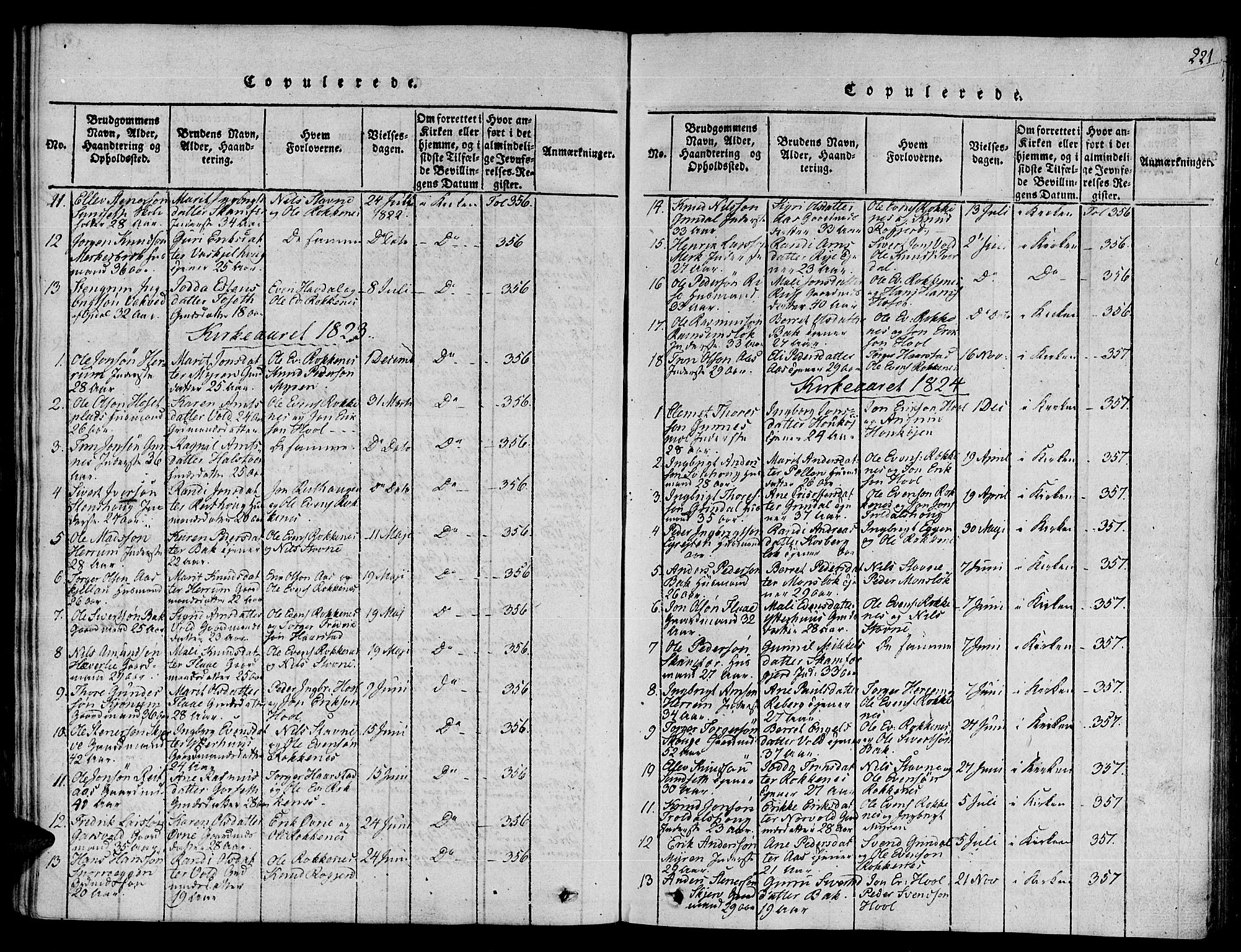Ministerialprotokoller, klokkerbøker og fødselsregistre - Sør-Trøndelag, SAT/A-1456/672/L0854: Parish register (official) no. 672A06 /2, 1816-1829, p. 221