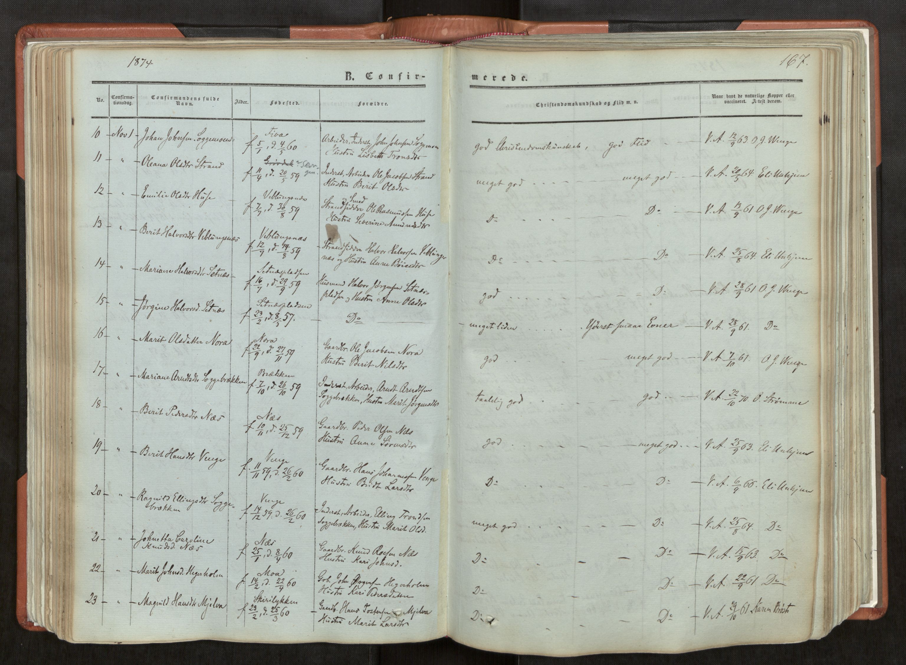 Ministerialprotokoller, klokkerbøker og fødselsregistre - Møre og Romsdal, AV/SAT-A-1454/544/L0572: Parish register (official) no. 544A05, 1854-1886, p. 167