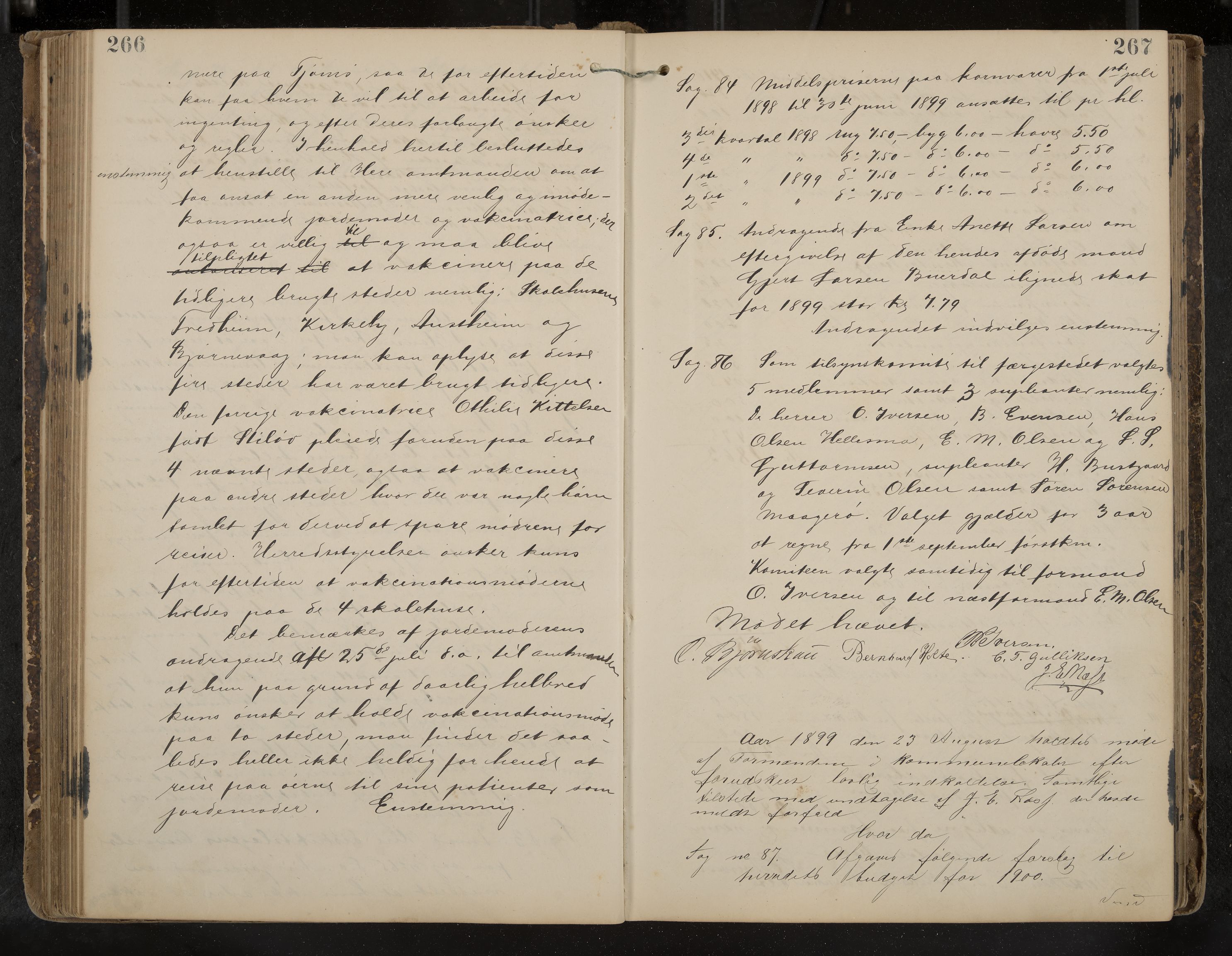 Tjøme formannskap og sentraladministrasjon, IKAK/0723021-1/A/L0003: Møtebok, 1886-1915, p. 266-267