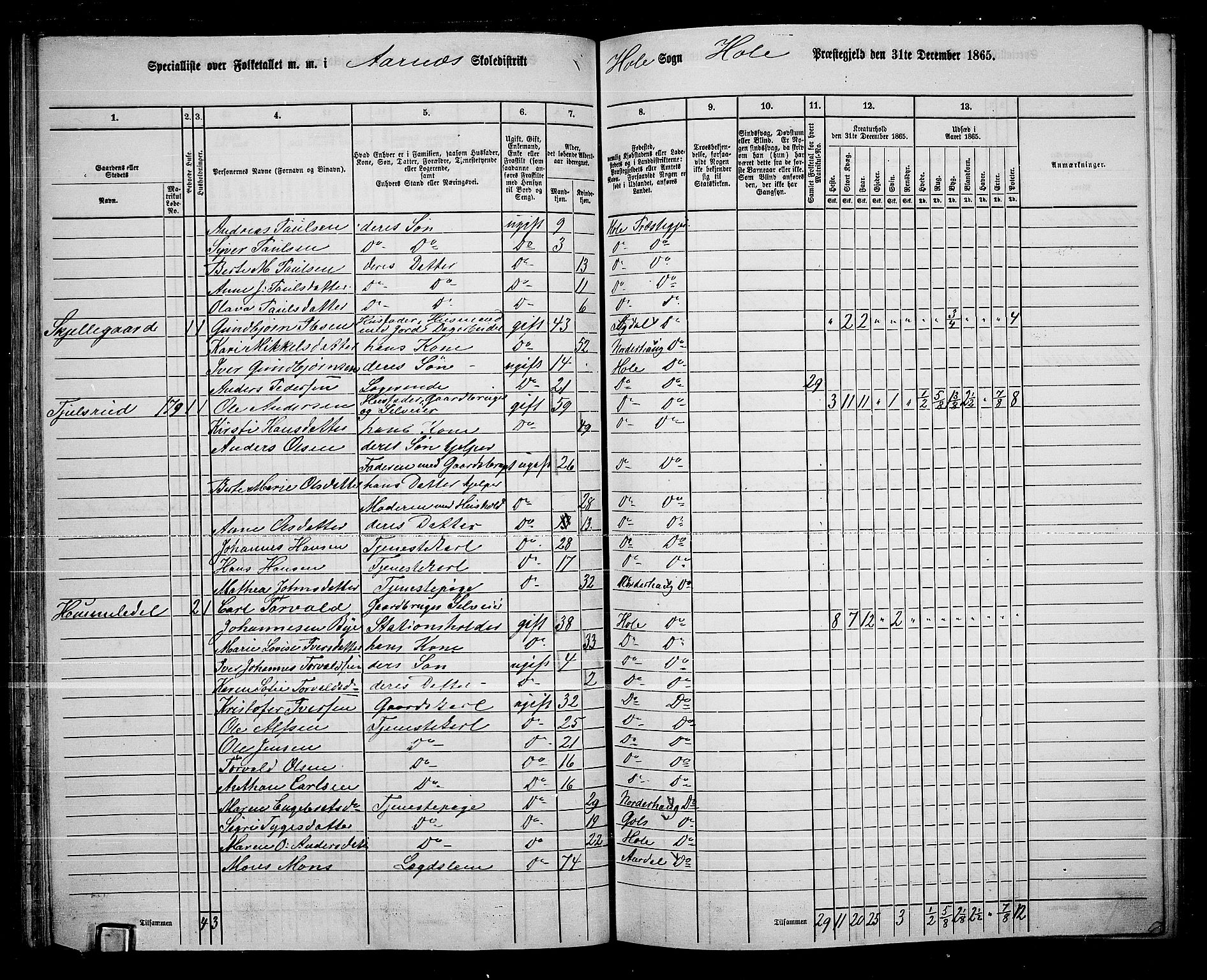 RA, 1865 census for Hole, 1865, p. 64