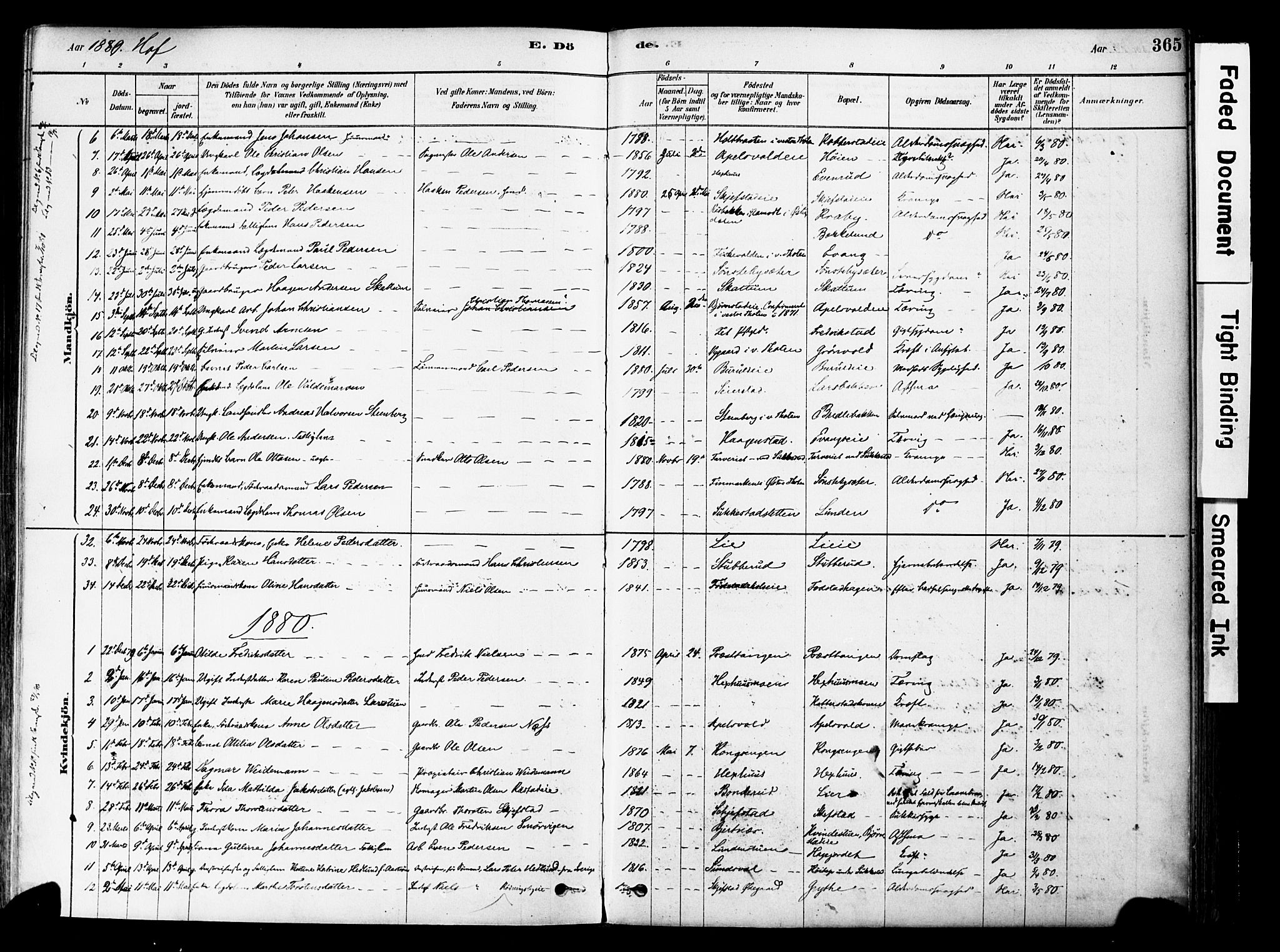 Østre Toten prestekontor, SAH/PREST-104/H/Ha/Haa/L0006: Parish register (official) no. 6 /1, 1878-1896, p. 365