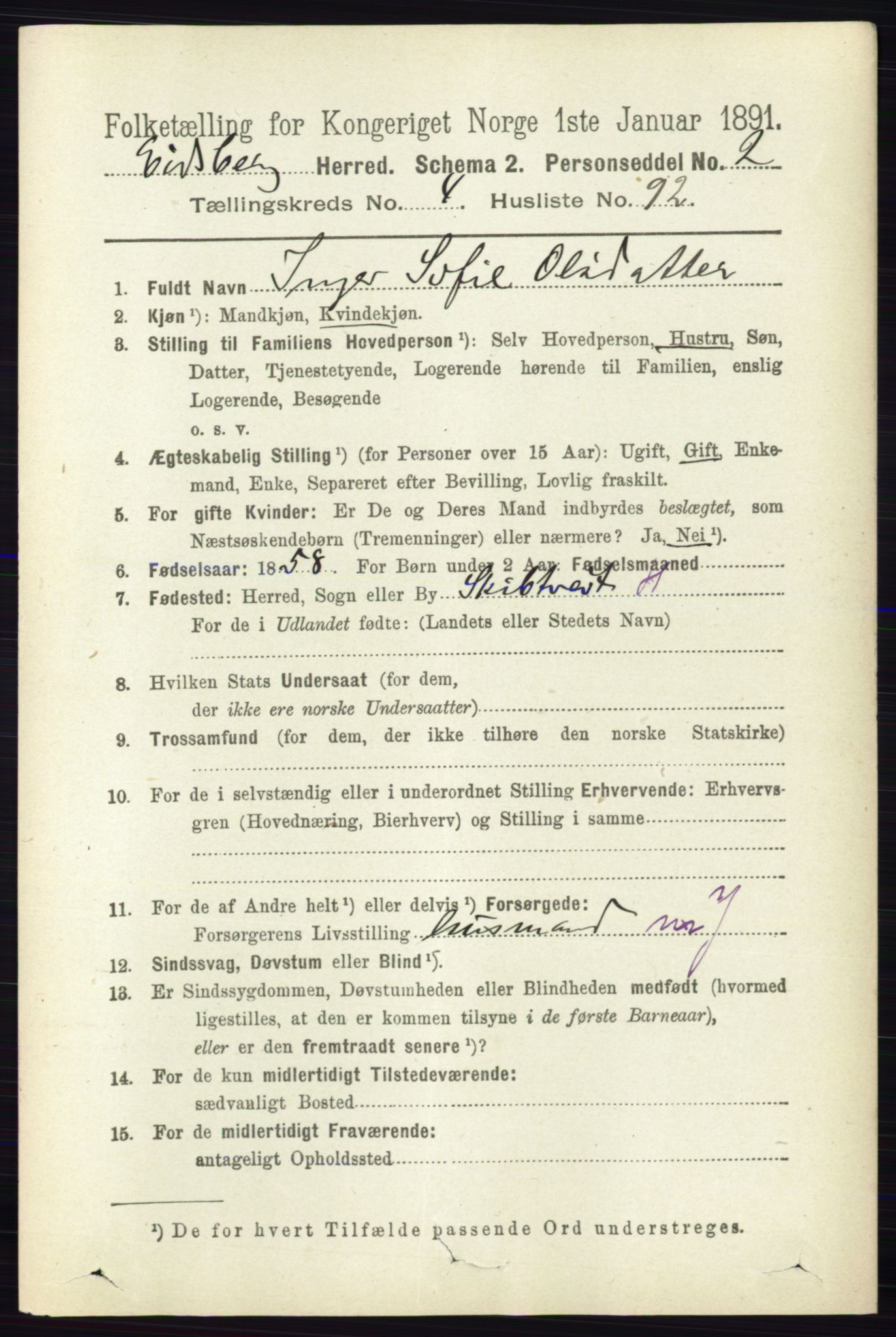 RA, 1891 census for 0125 Eidsberg, 1891, p. 2917