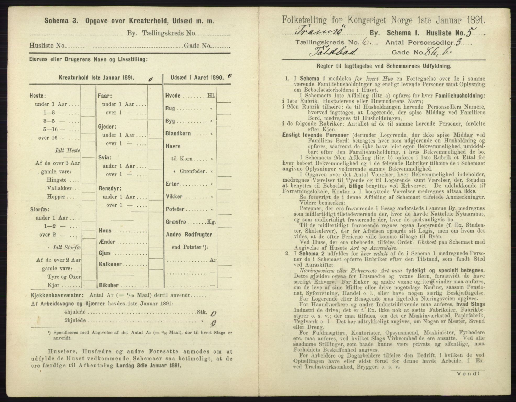 RA, 1891 census for 1902 Tromsø, 1891, p. 5391