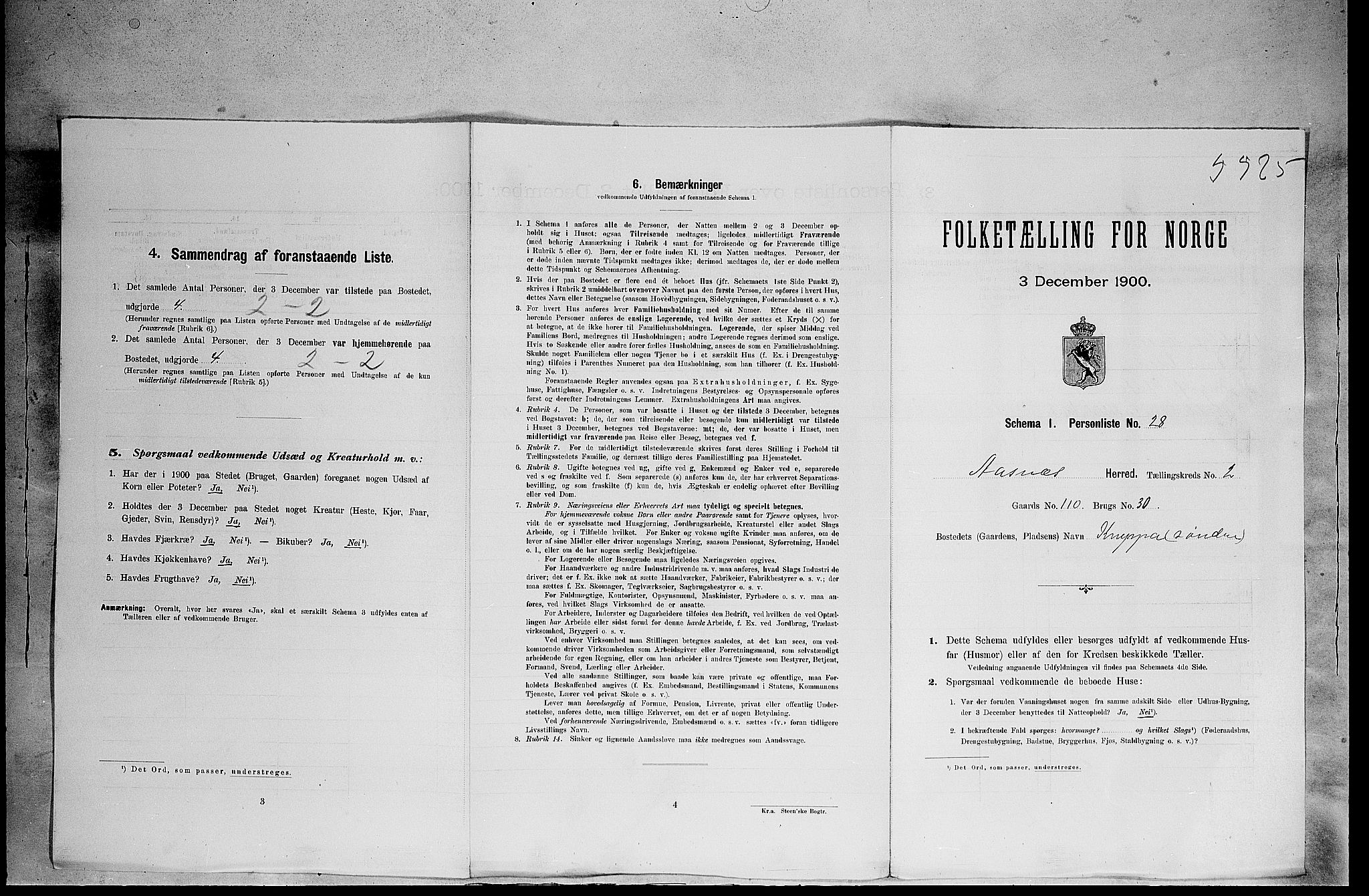 SAH, 1900 census for Åsnes, 1900, p. 307