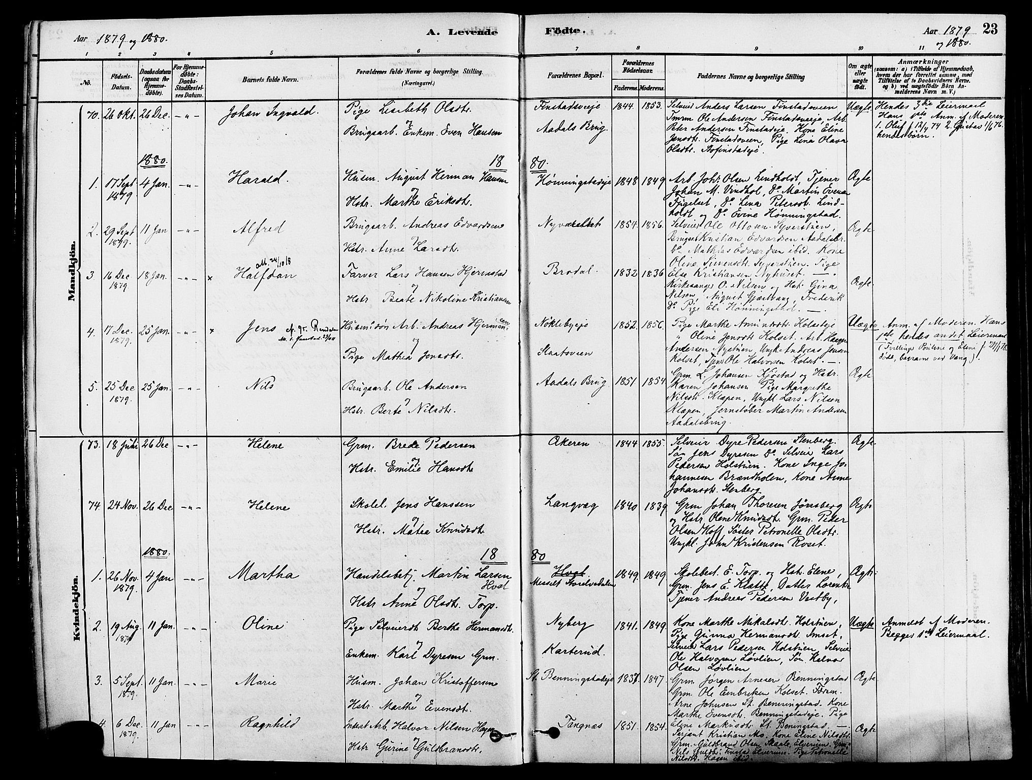 Løten prestekontor, AV/SAH-PREST-022/K/Ka/L0009: Parish register (official) no. 9, 1878-1891, p. 23