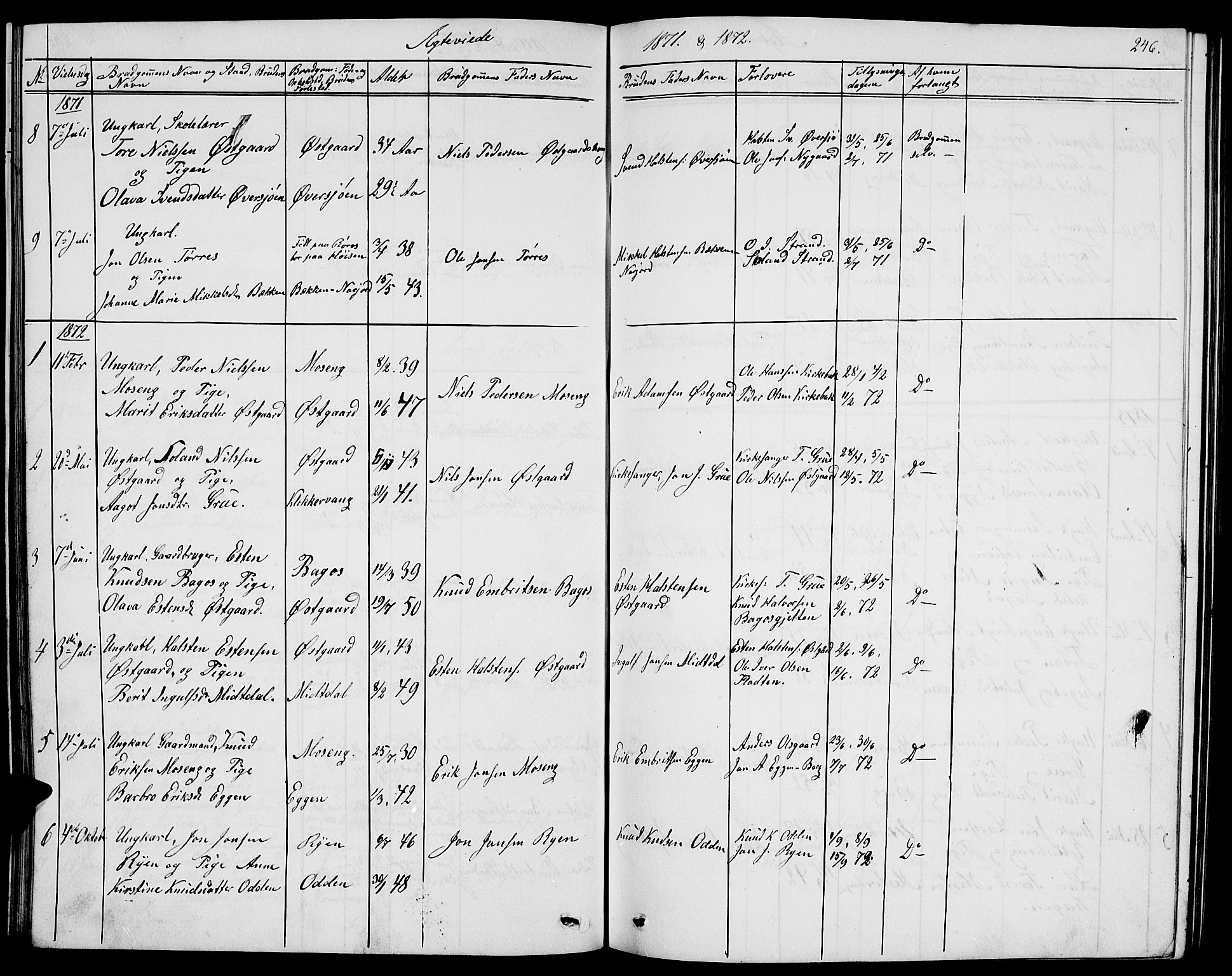 Tolga prestekontor, AV/SAH-PREST-062/L/L0004: Parish register (copy) no. 4, 1845-1887, p. 246