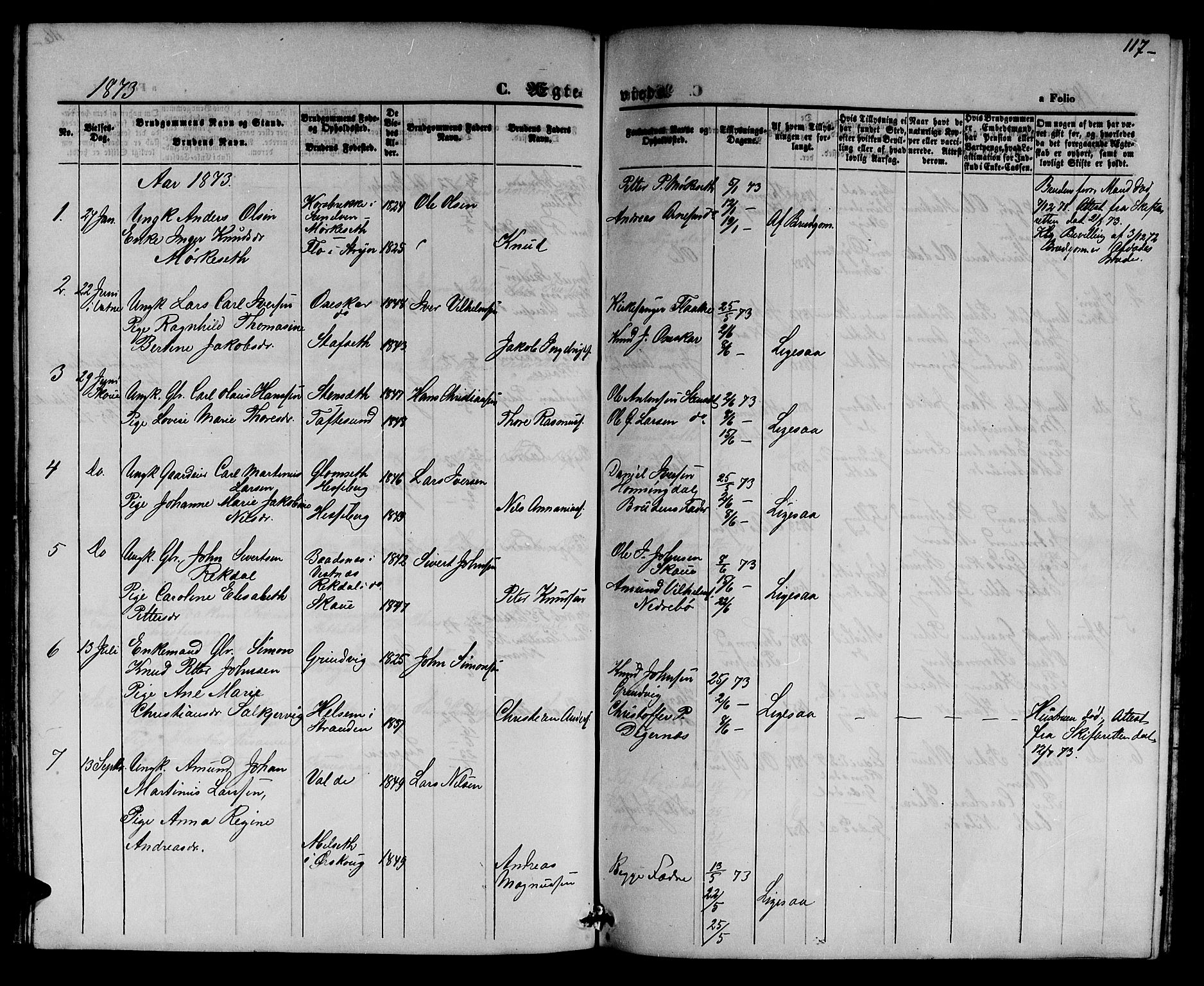 Ministerialprotokoller, klokkerbøker og fødselsregistre - Møre og Romsdal, AV/SAT-A-1454/524/L0364: Parish register (copy) no. 524C05, 1865-1879, p. 117