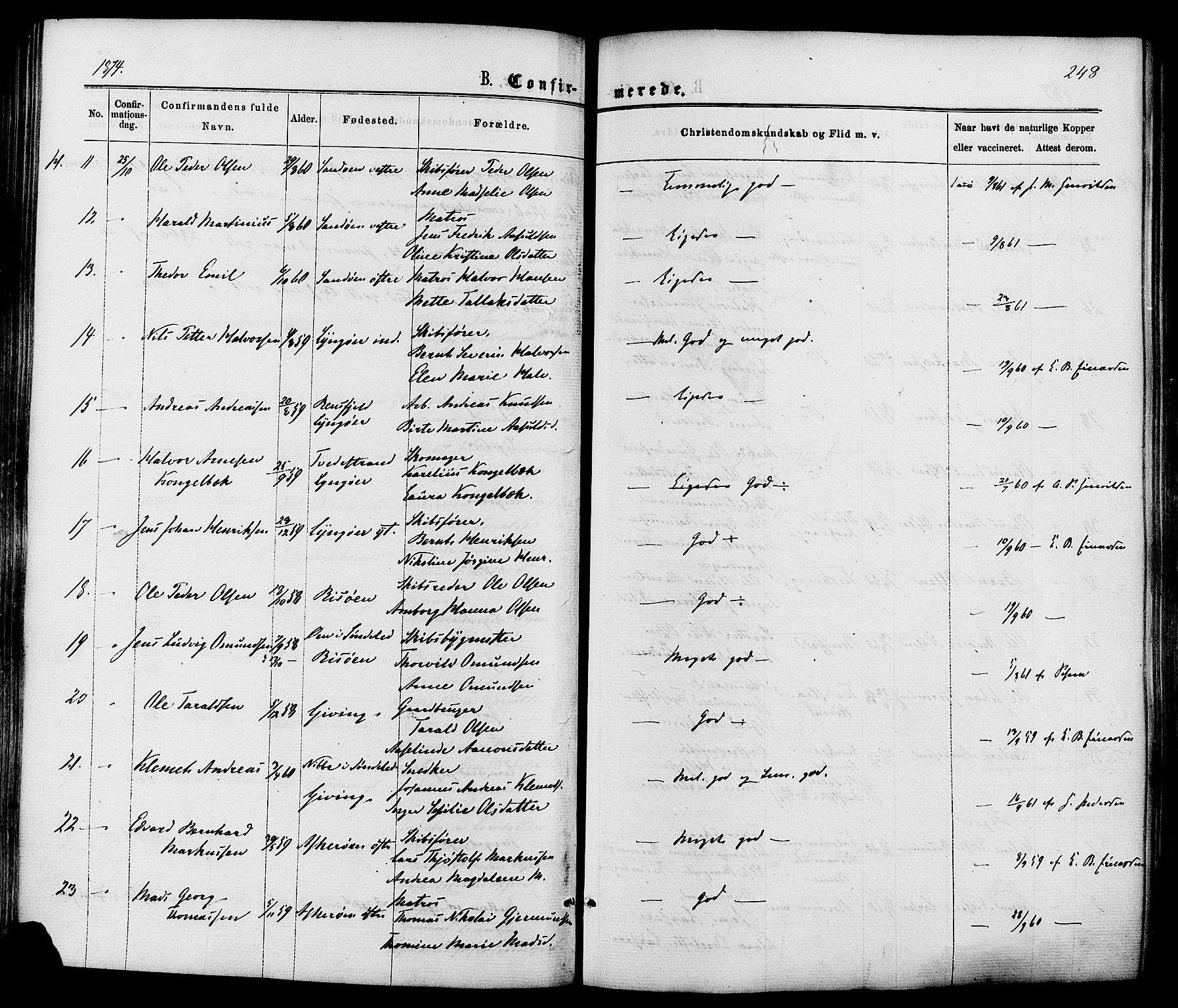 Dypvåg sokneprestkontor, AV/SAK-1111-0007/F/Fa/Faa/L0007: Parish register (official) no. A 7/ 1, 1872-1884, p. 248