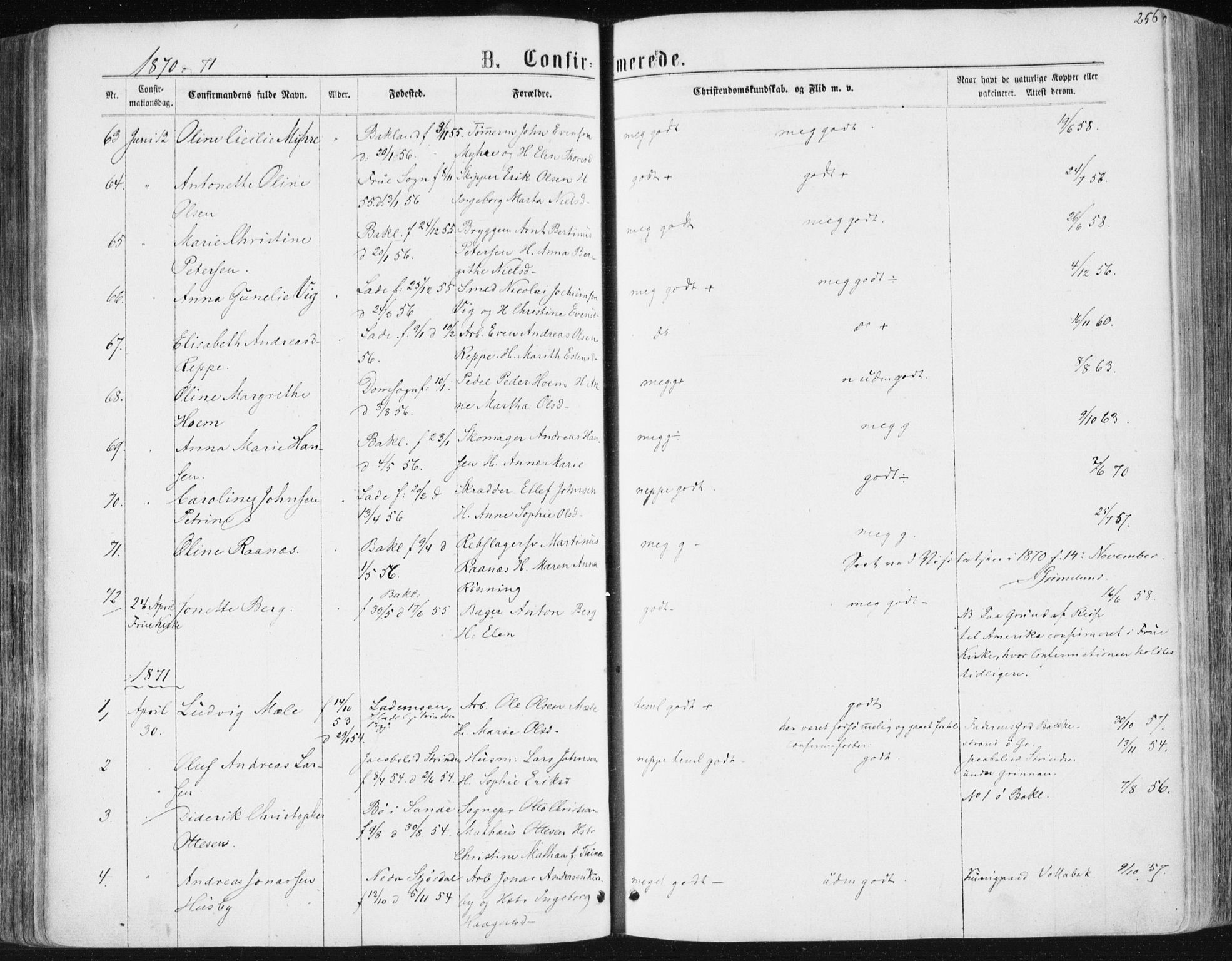 Ministerialprotokoller, klokkerbøker og fødselsregistre - Sør-Trøndelag, SAT/A-1456/604/L0186: Parish register (official) no. 604A07, 1866-1877, p. 256
