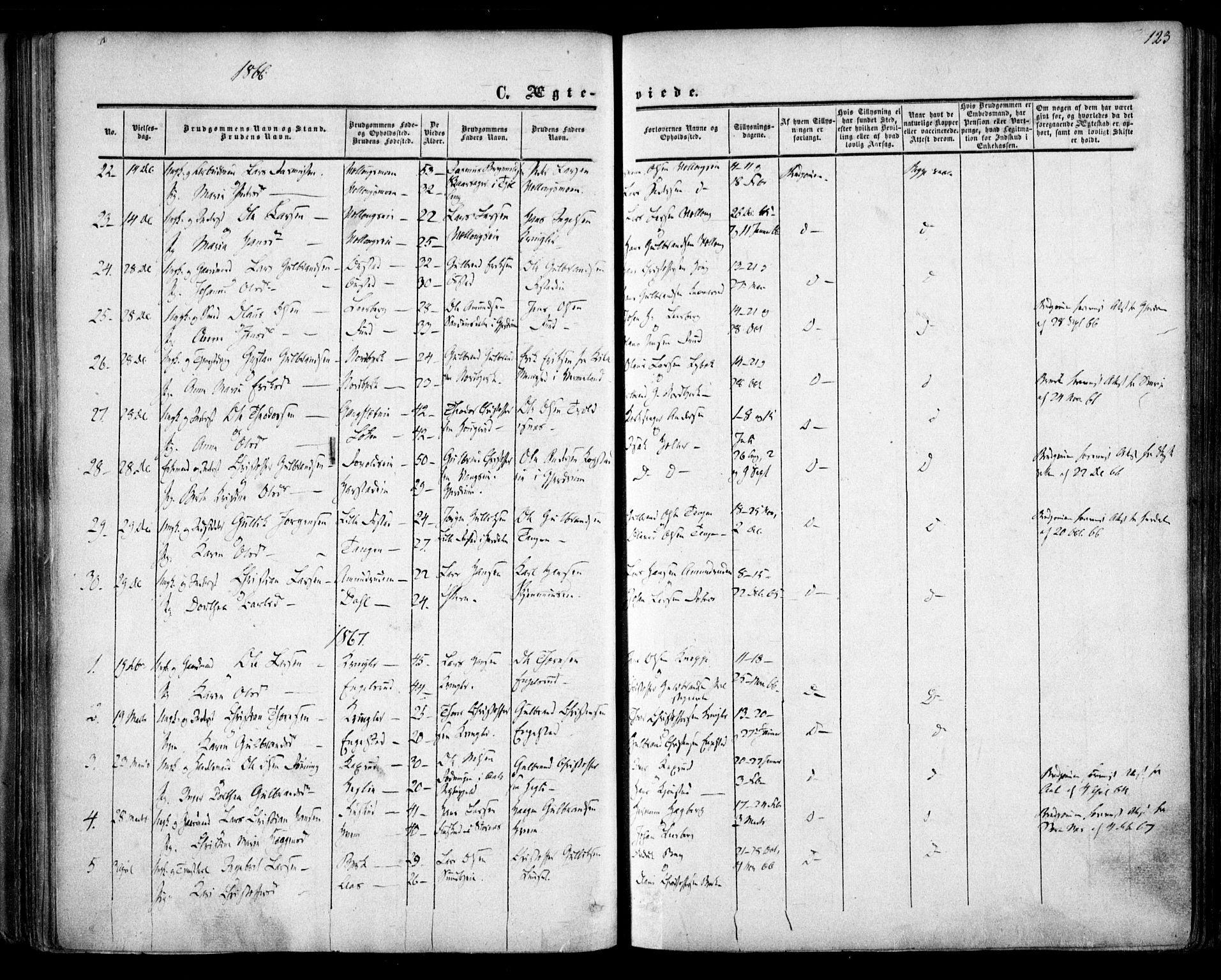 Nannestad prestekontor Kirkebøker, SAO/A-10414a/F/Fa/L0012: Parish register (official) no. I 12, 1860-1872, p. 123