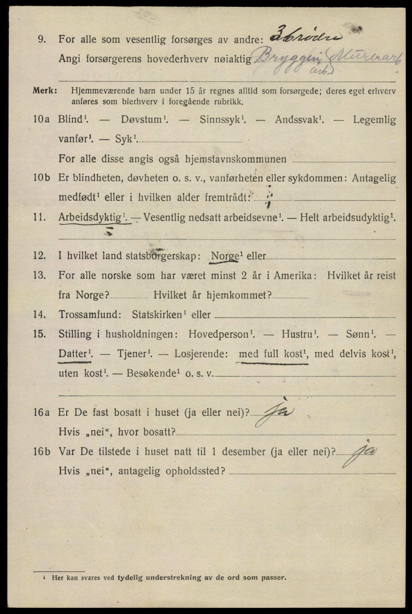 SAKO, 1920 census for Tønsberg, 1920, p. 11032