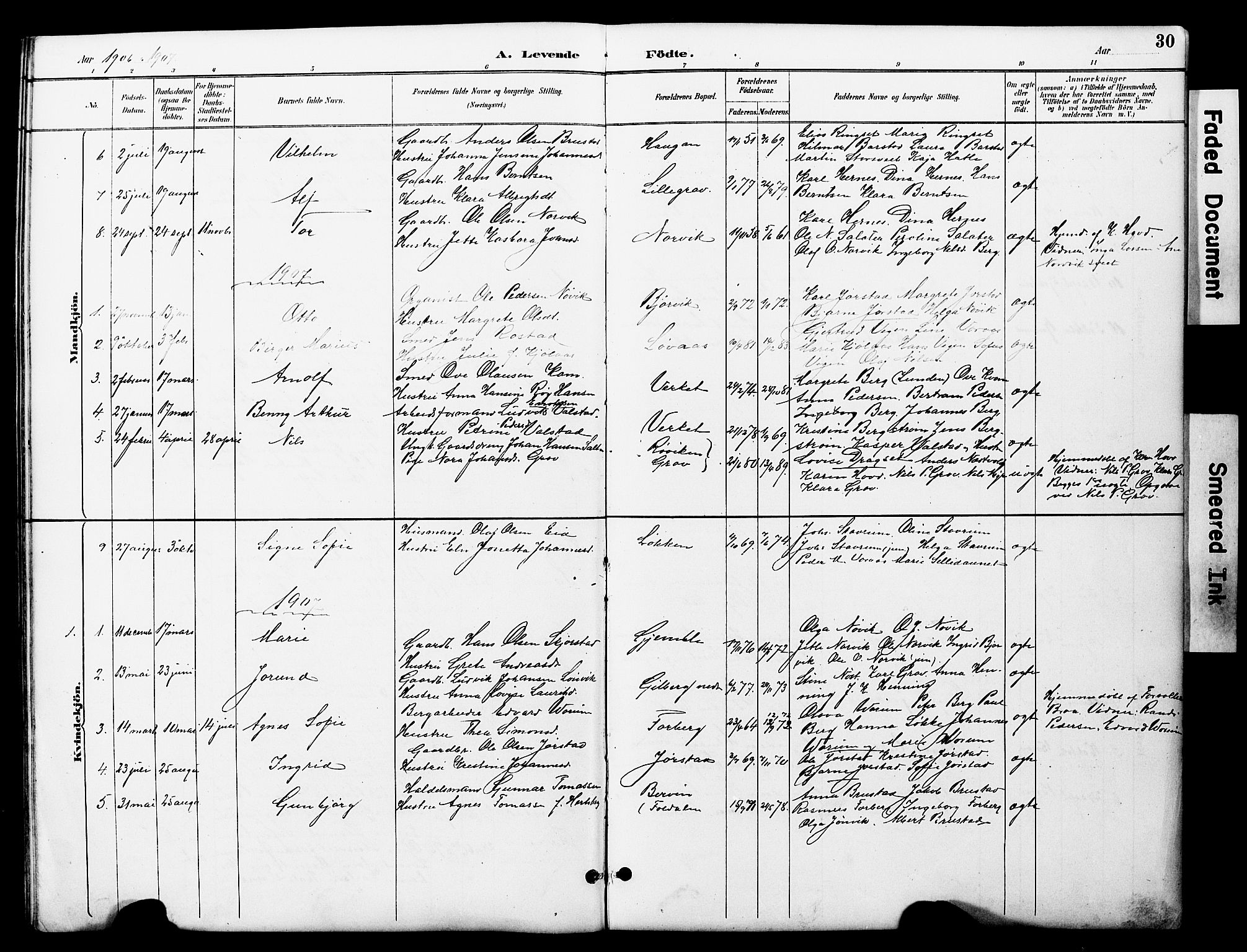 Ministerialprotokoller, klokkerbøker og fødselsregistre - Nord-Trøndelag, SAT/A-1458/722/L0226: Parish register (copy) no. 722C02, 1889-1927, p. 30