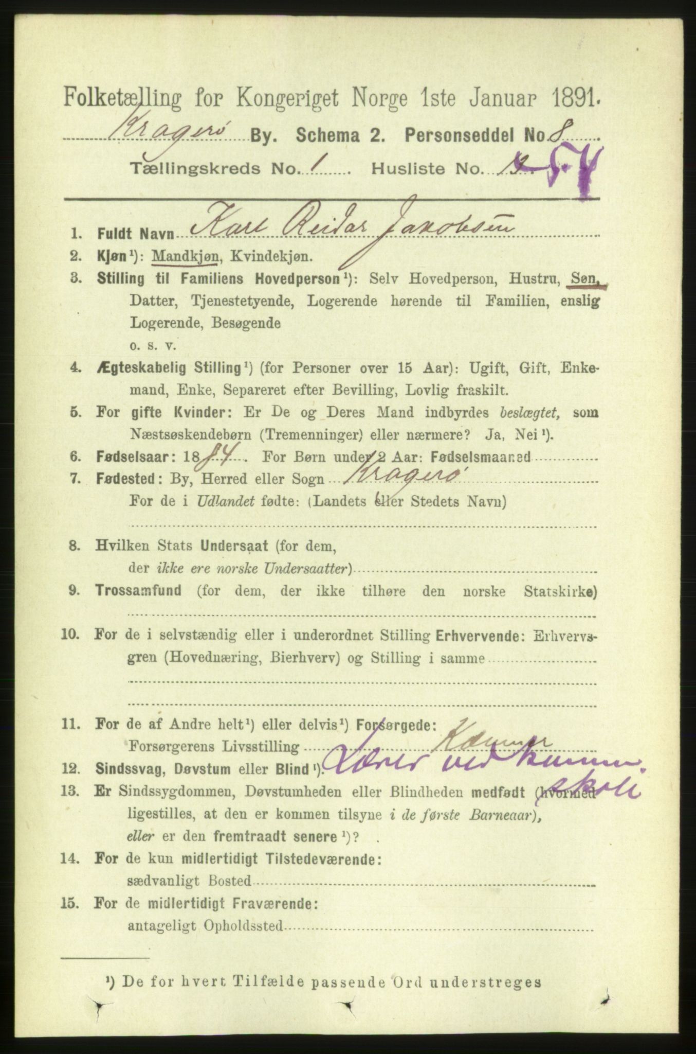RA, 1891 census for 0801 Kragerø, 1891, p. 2110