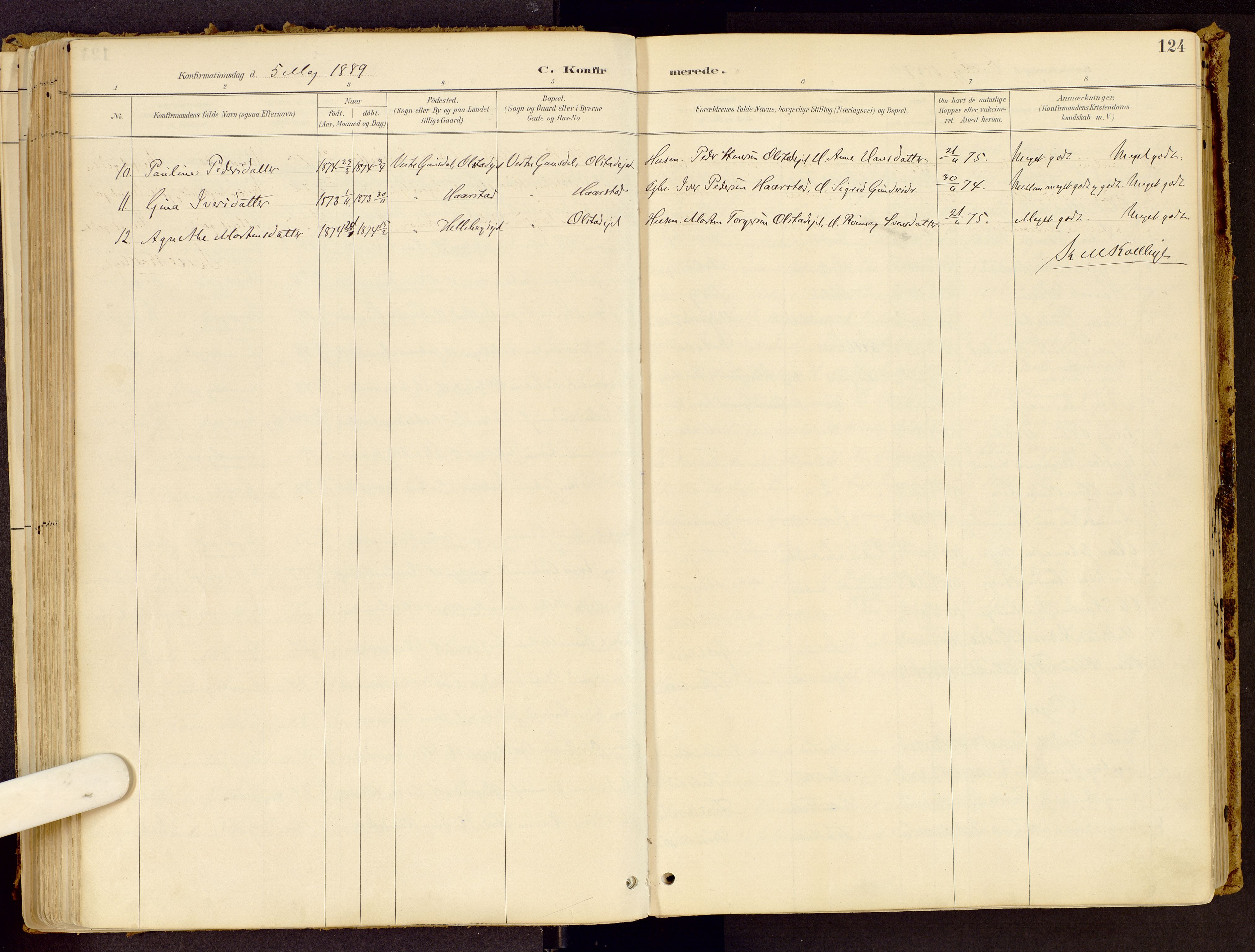 Vestre Gausdal prestekontor, SAH/PREST-094/H/Ha/Haa/L0001: Parish register (official) no. 1, 1887-1914, p. 124