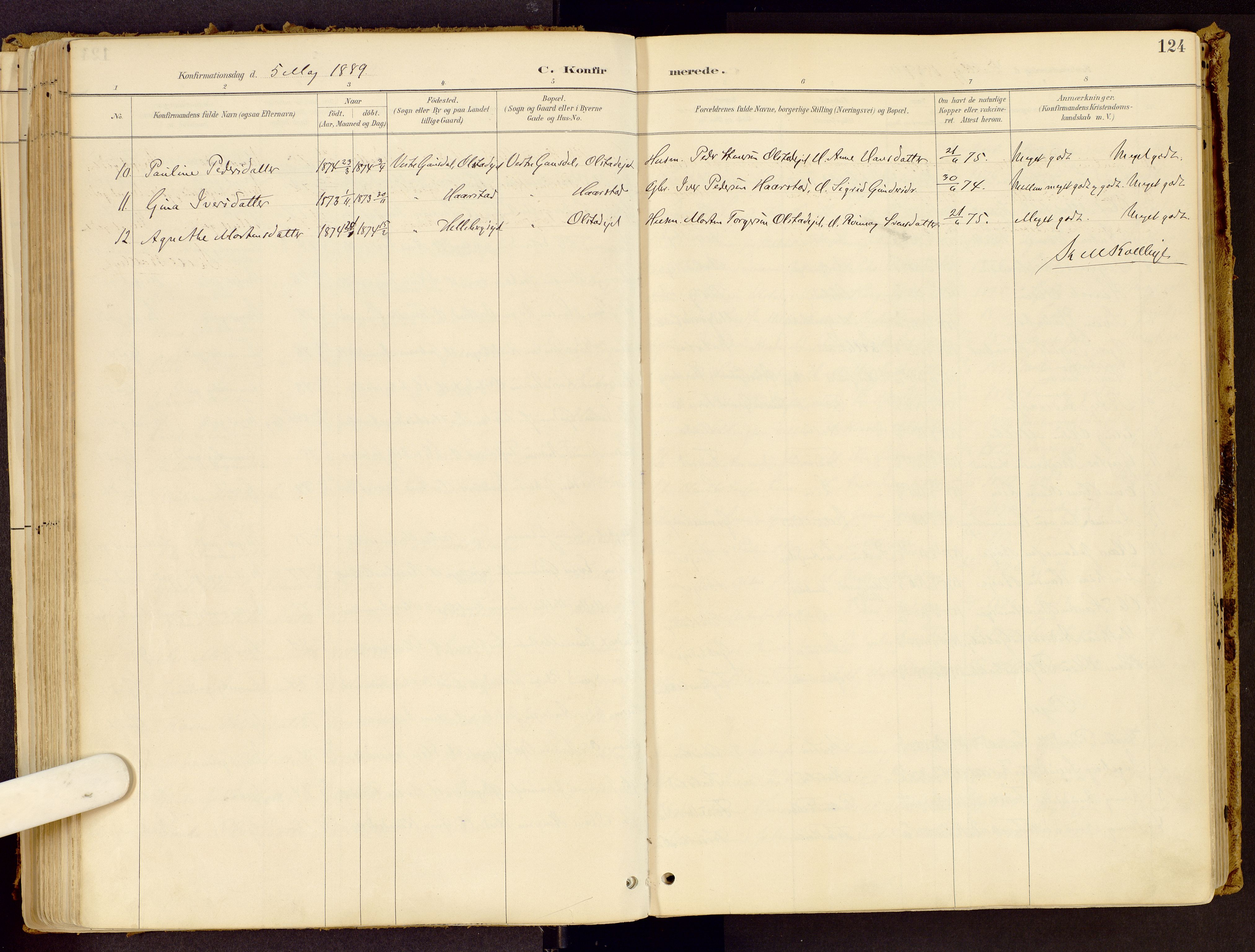 Vestre Gausdal prestekontor, AV/SAH-PREST-094/H/Ha/Haa/L0001: Parish register (official) no. 1, 1887-1914, p. 124
