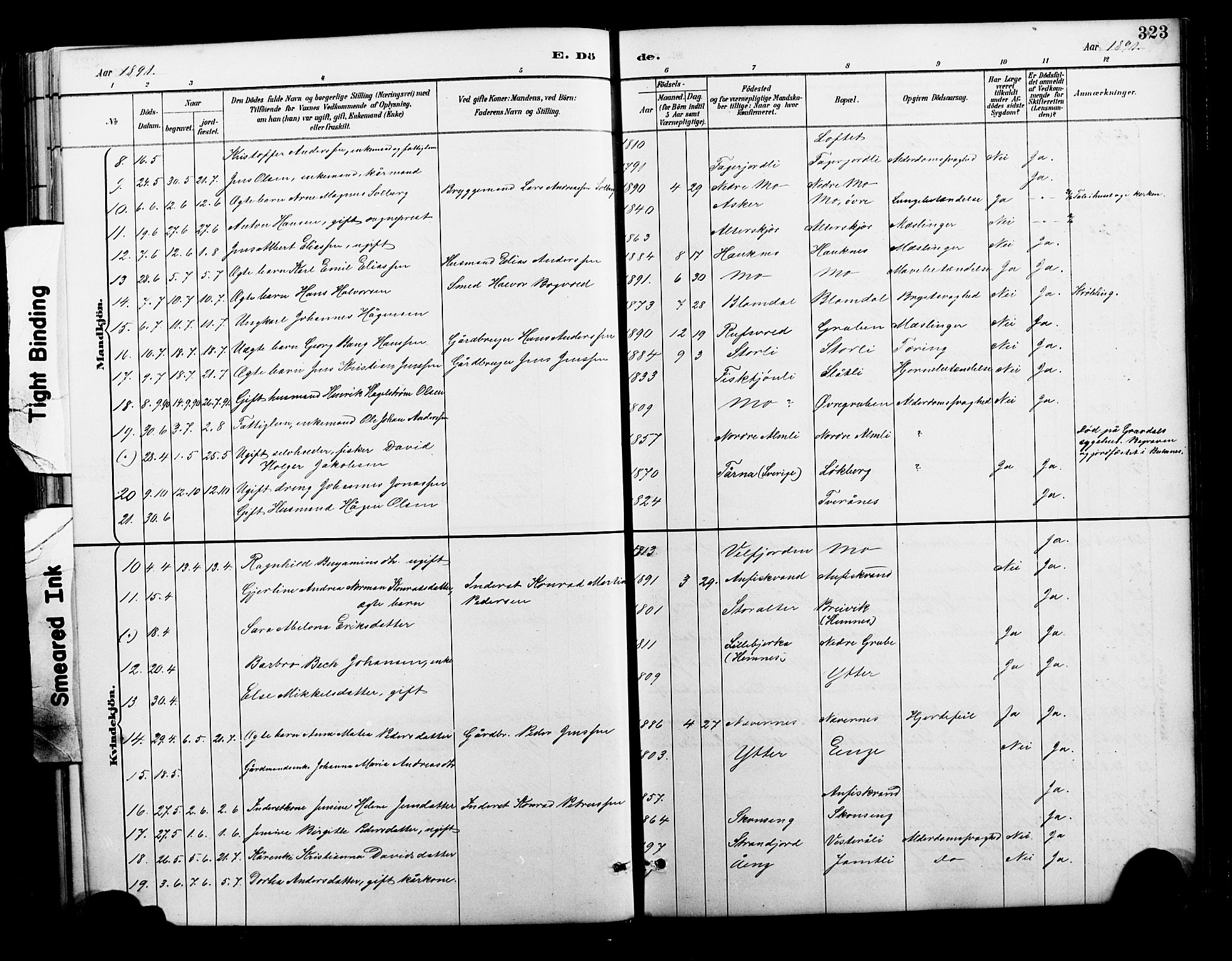 Ministerialprotokoller, klokkerbøker og fødselsregistre - Nordland, AV/SAT-A-1459/827/L0421: Parish register (copy) no. 827C10, 1887-1906, p. 323