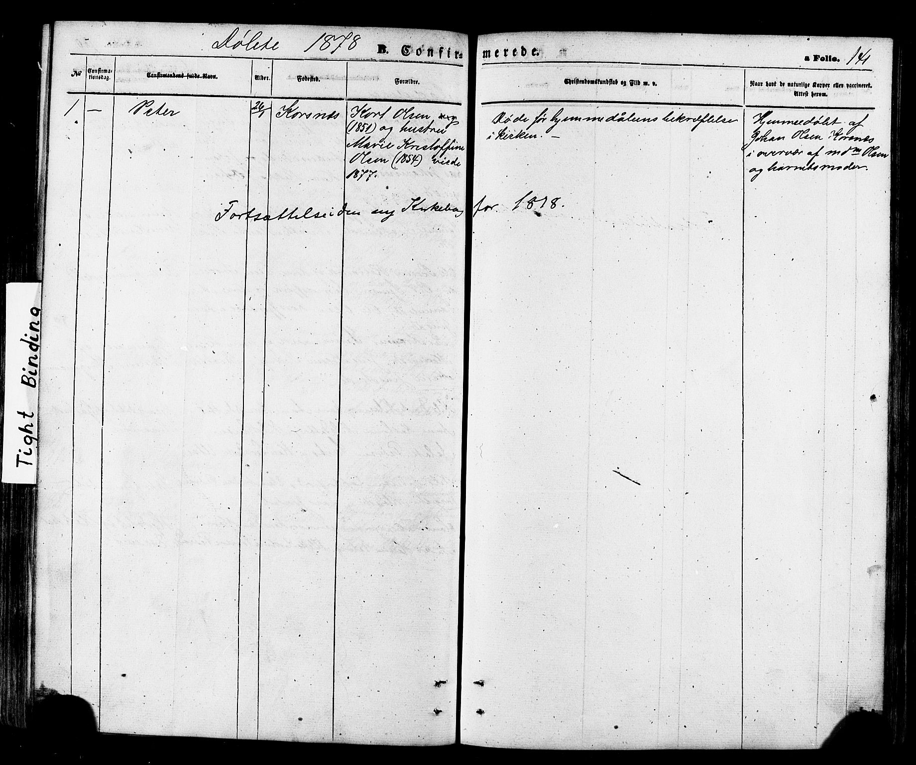 Talvik sokneprestkontor, SATØ/S-1337/H/Ha/L0011kirke: Parish register (official) no. 11, 1864-1877, p. 141