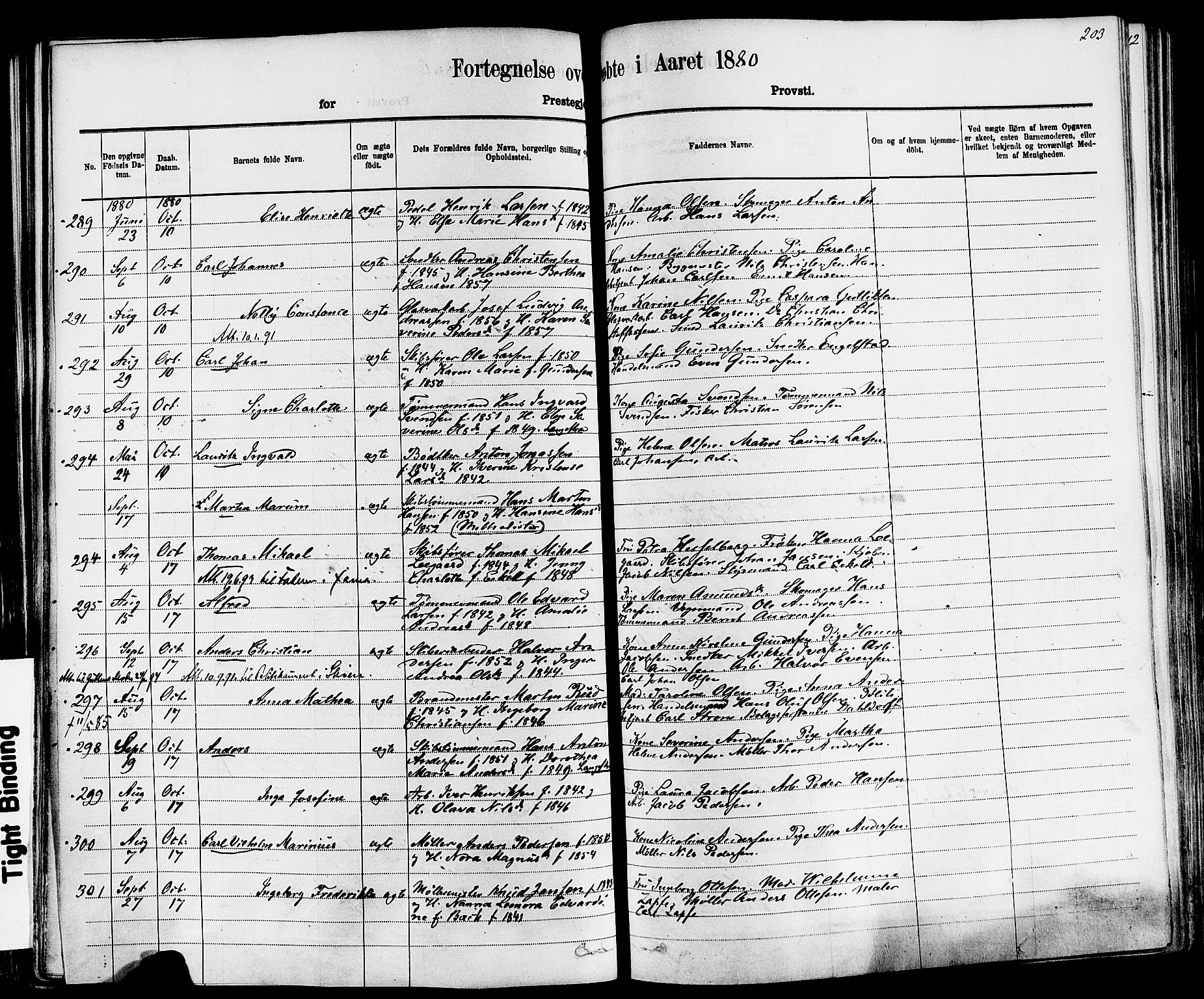 Larvik kirkebøker, AV/SAKO-A-352/F/Fa/L0006: Parish register (official) no. I 6, 1871-1883, p. 203