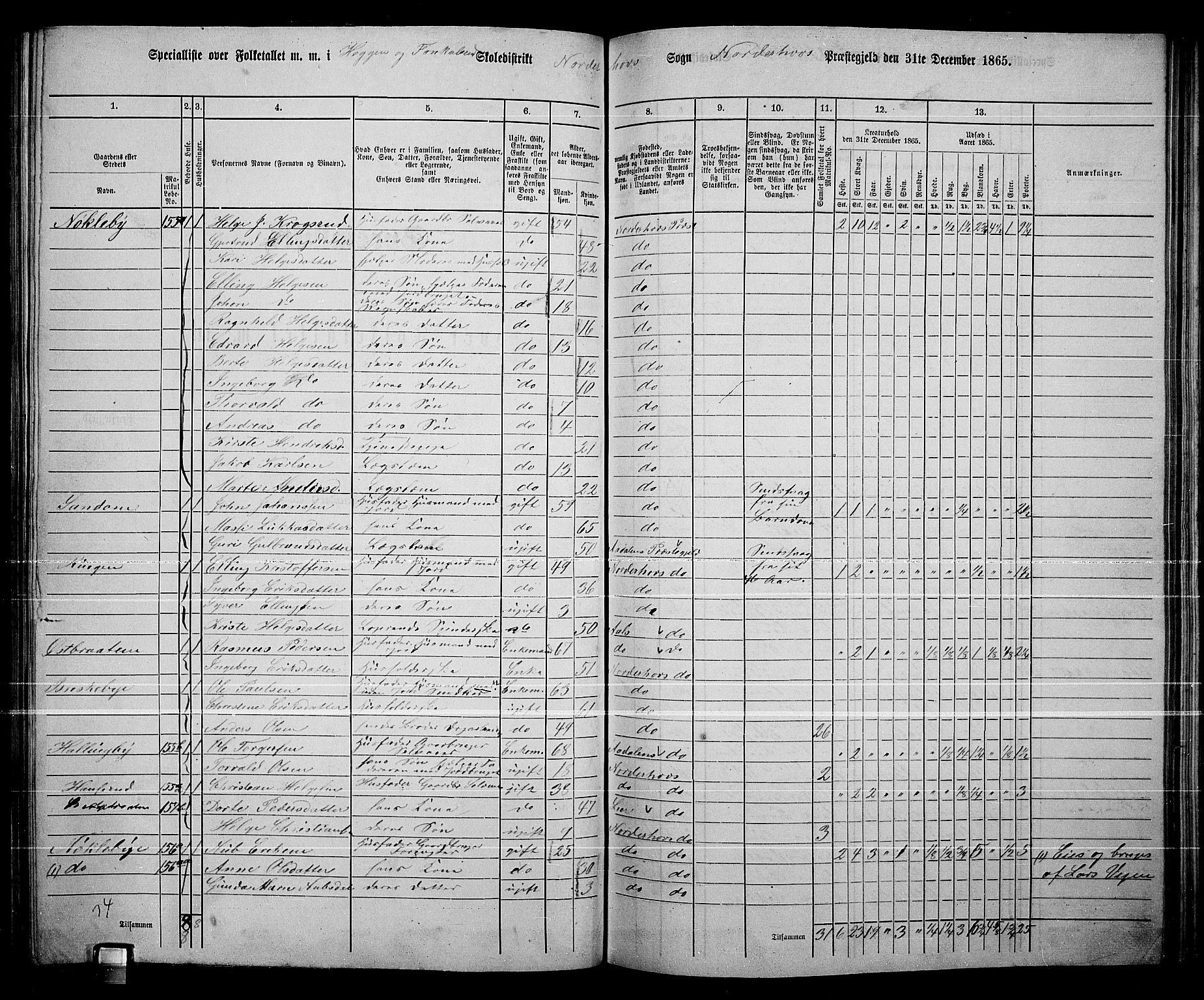 RA, 1865 census for Norderhov/Norderhov, Haug og Lunder, 1865, p. 186