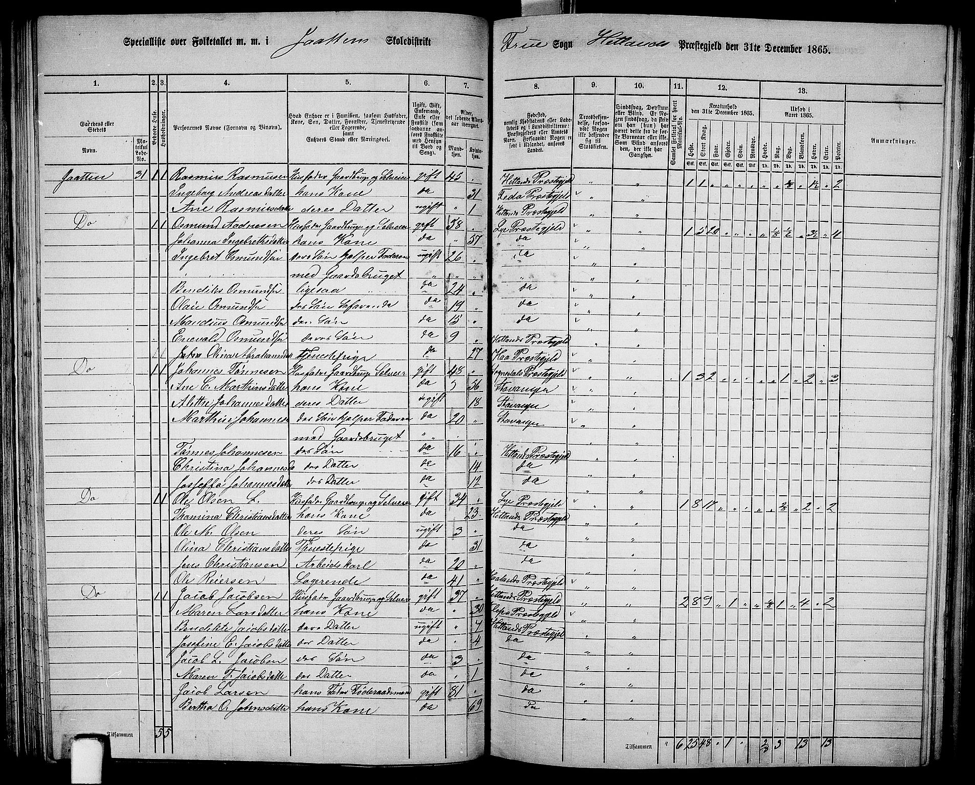 RA, 1865 census for Hetland, 1865, p. 96