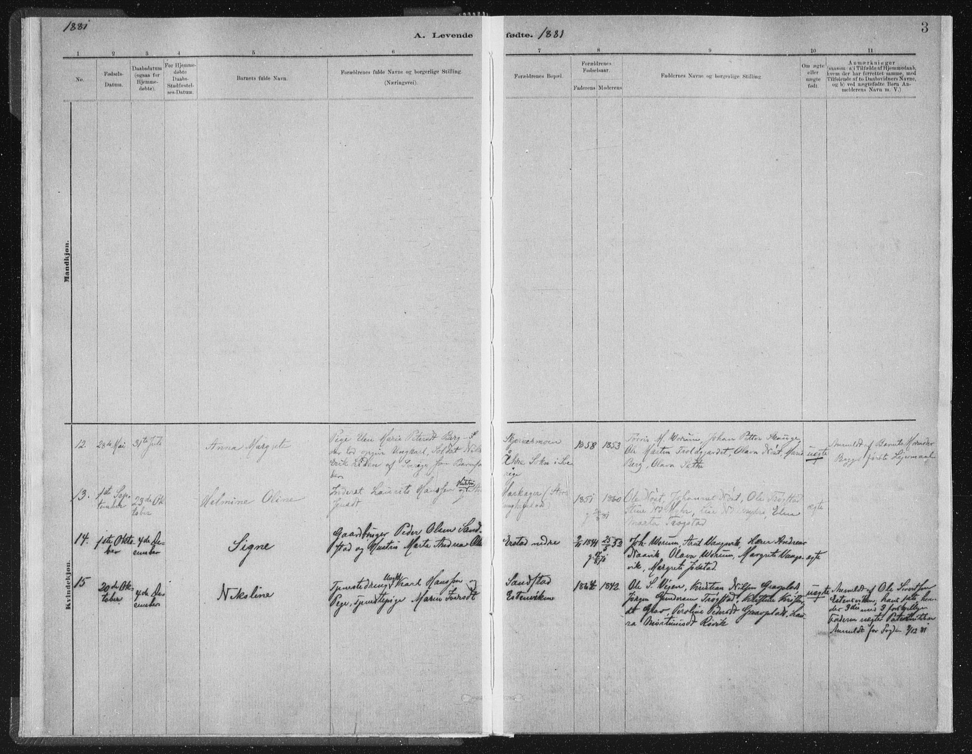 Ministerialprotokoller, klokkerbøker og fødselsregistre - Nord-Trøndelag, SAT/A-1458/722/L0220: Parish register (official) no. 722A07, 1881-1908, p. 3
