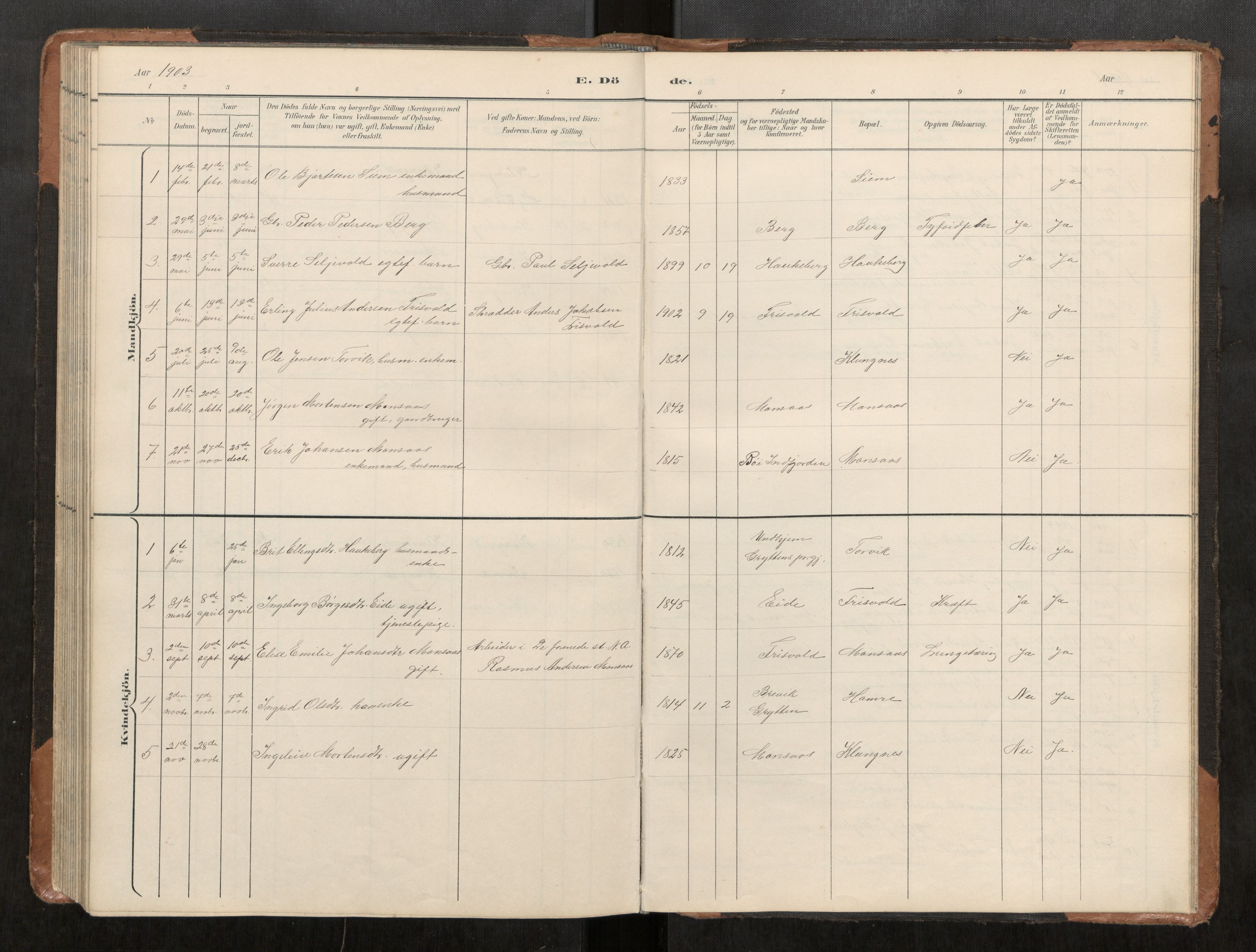 Ministerialprotokoller, klokkerbøker og fødselsregistre - Møre og Romsdal, AV/SAT-A-1454/542/L0561: Parish register (copy) no. 542C03, 1893-1931