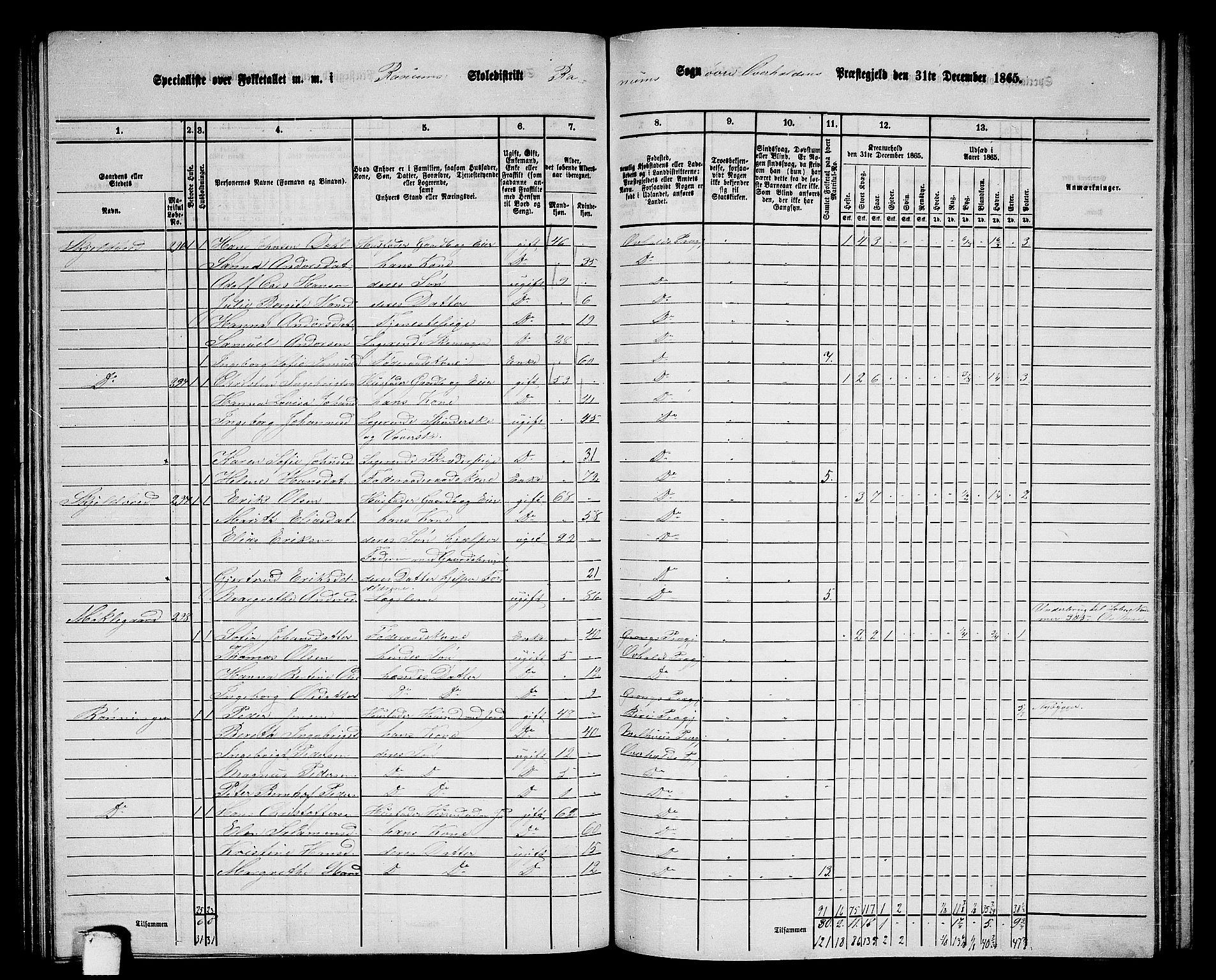 RA, 1865 census for Overhalla, 1865, p. 50