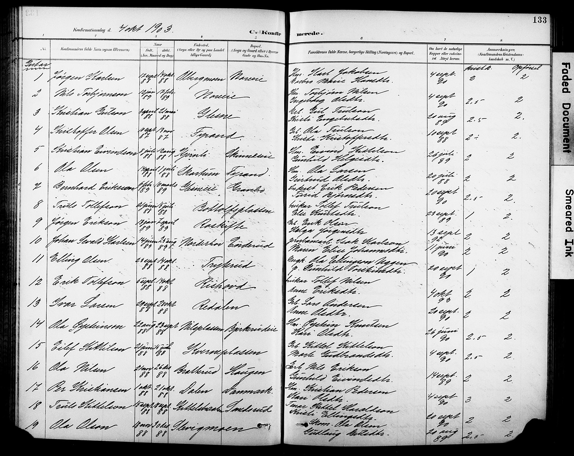 Krødsherad kirkebøker, SAKO/A-19/G/Ga/L0002: Parish register (copy) no. 2, 1894-1918, p. 133
