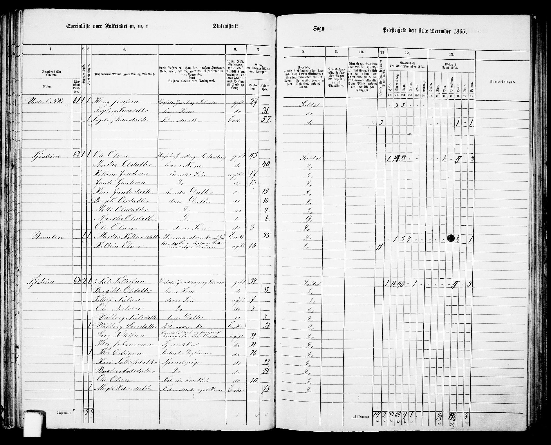 RA, 1865 census for Suldal, 1865, p. 48
