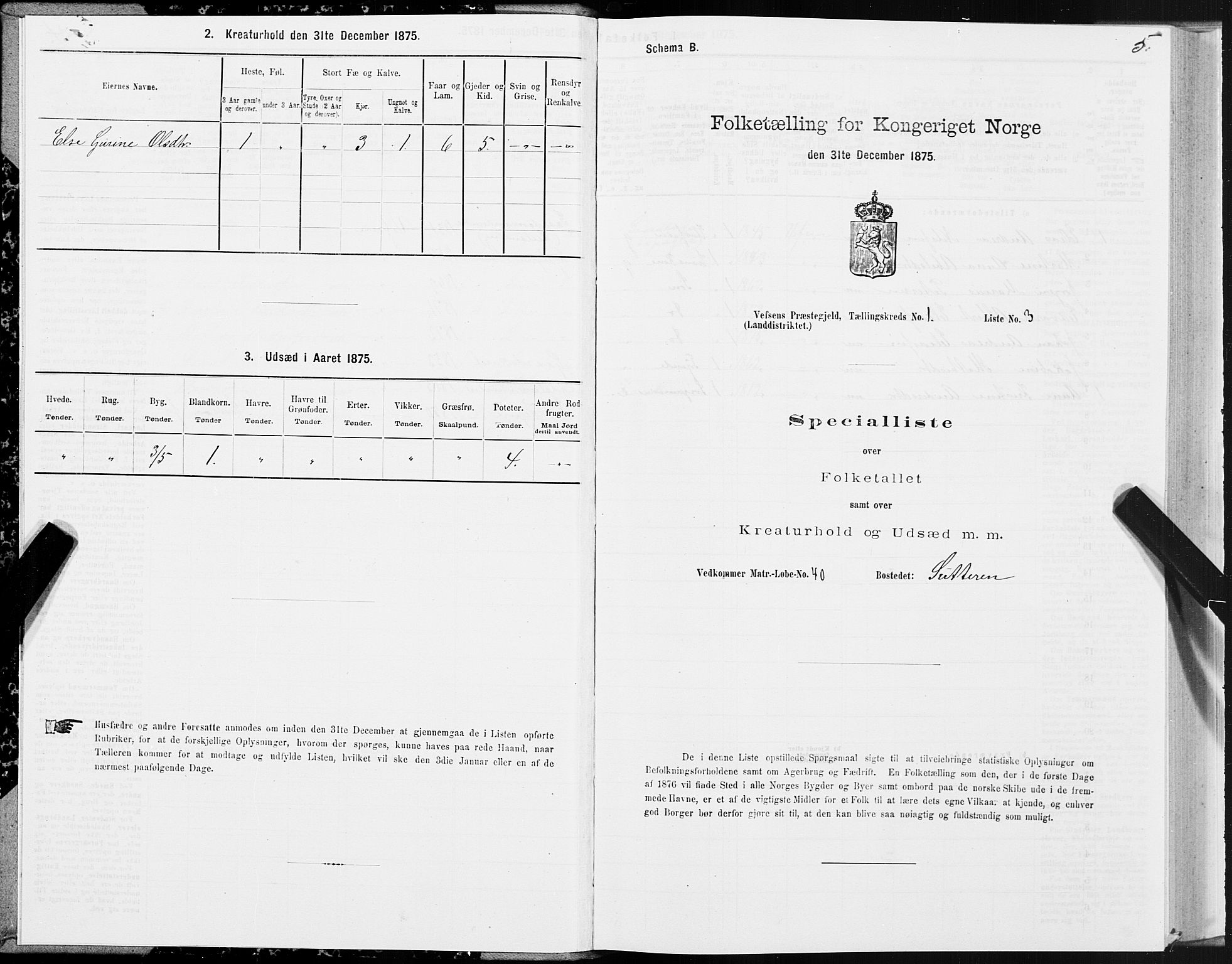 SAT, 1875 census for 1824L Vefsn/Vefsn, 1875, p. 1005